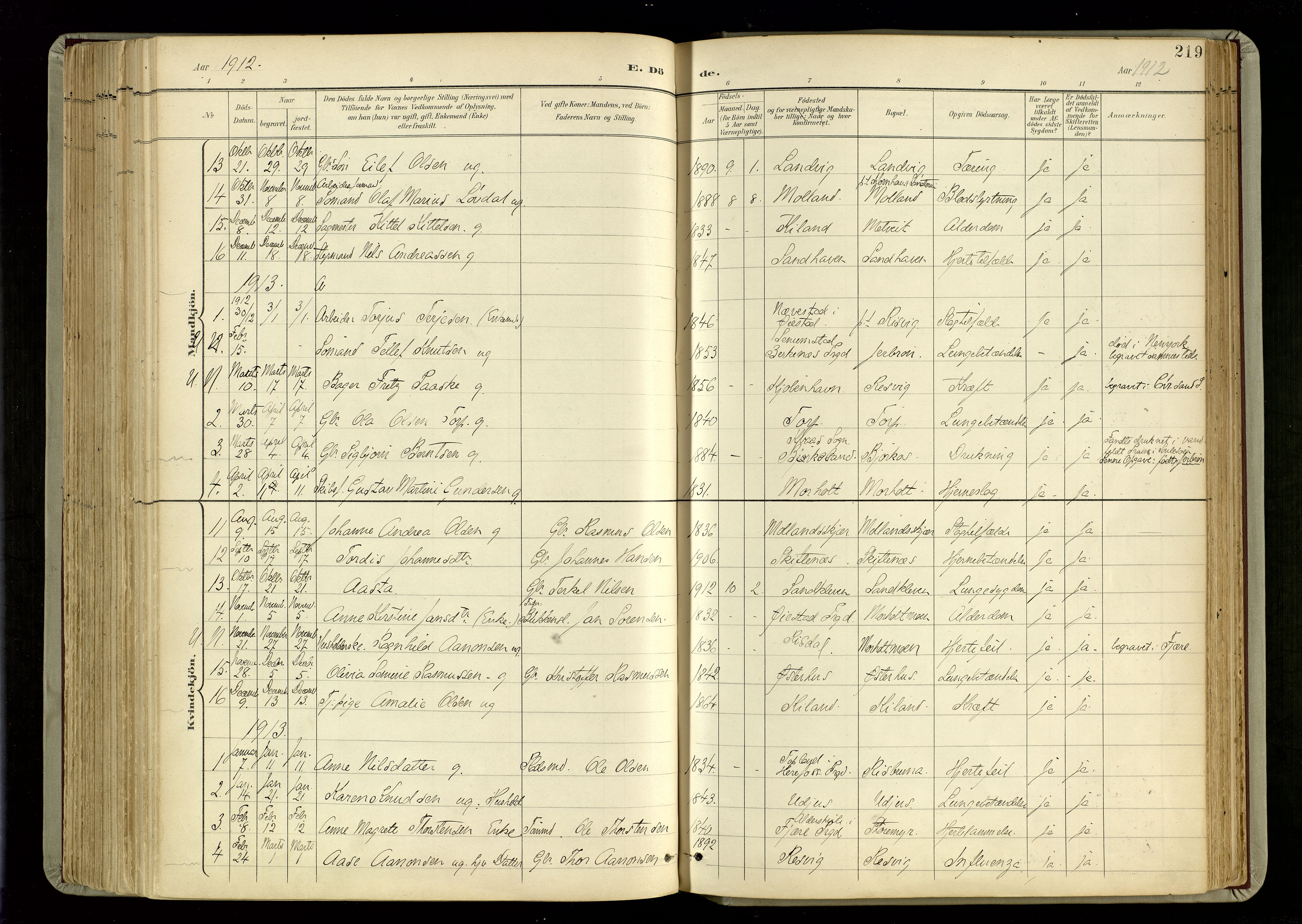 Hommedal sokneprestkontor, AV/SAK-1111-0023/F/Fa/Fab/L0007: Parish register (official) no. A 7, 1898-1924, p. 219