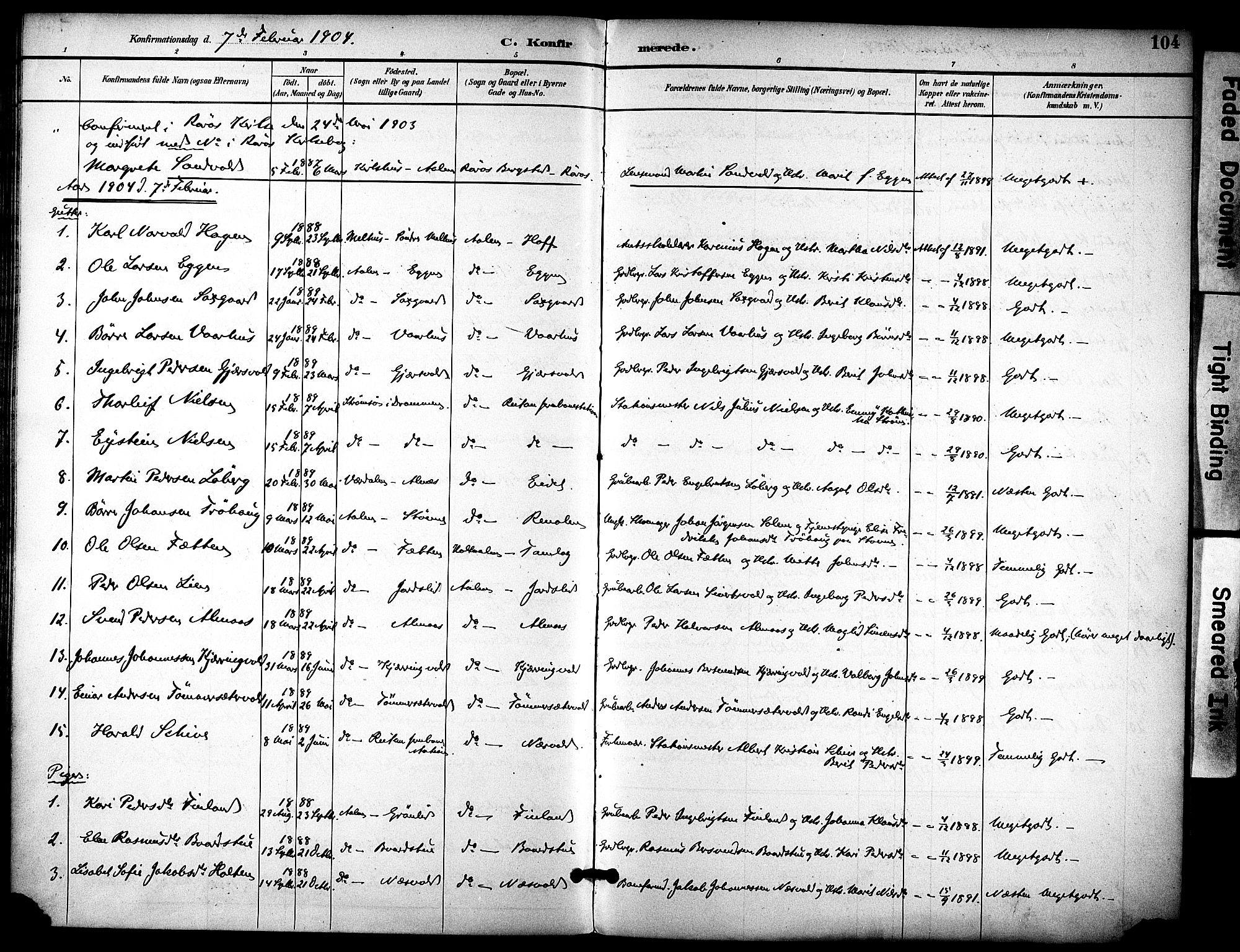 Ministerialprotokoller, klokkerbøker og fødselsregistre - Sør-Trøndelag, SAT/A-1456/686/L0984: Parish register (official) no. 686A02, 1891-1906, p. 104