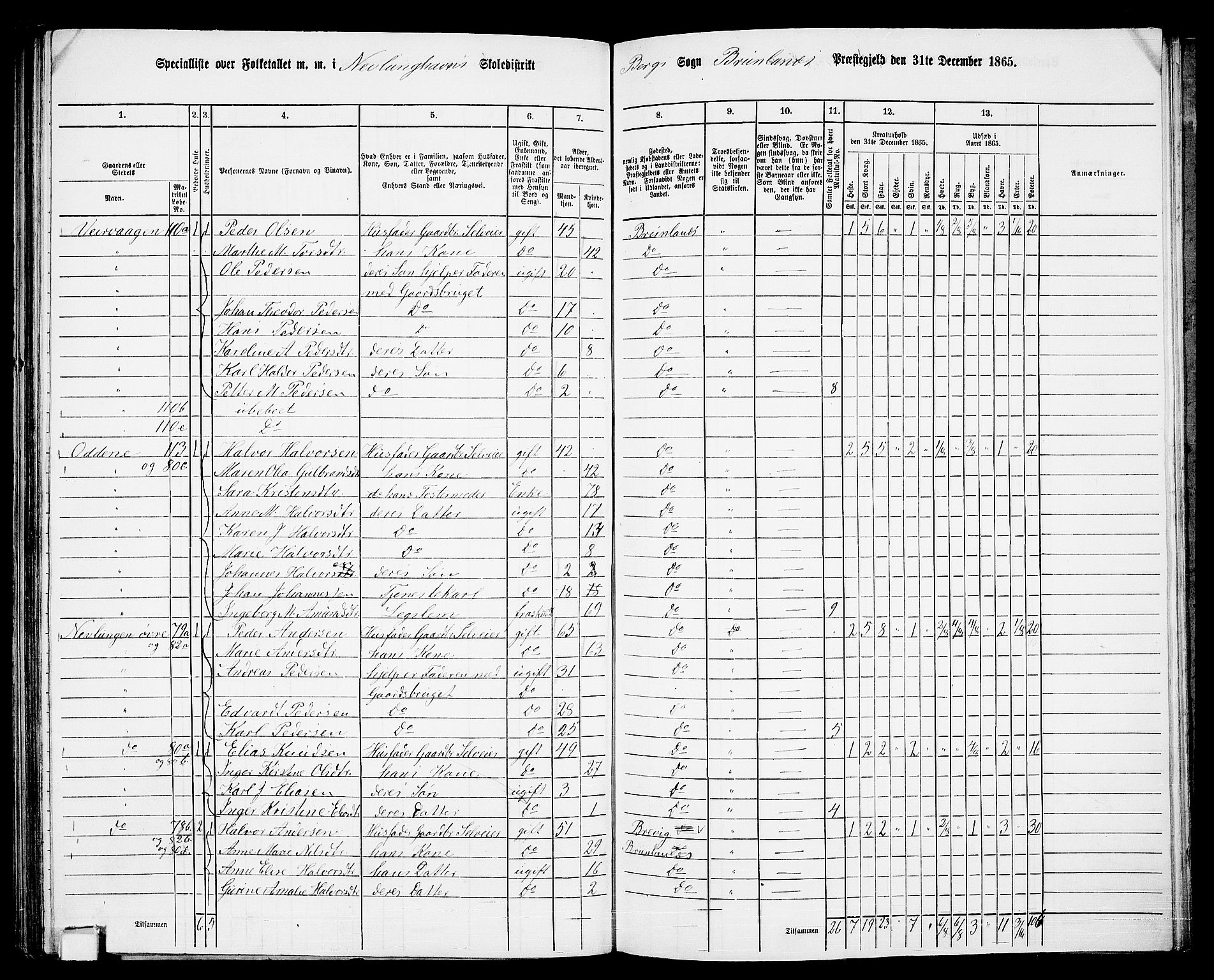 RA, 1865 census for Brunlanes, 1865, p. 142