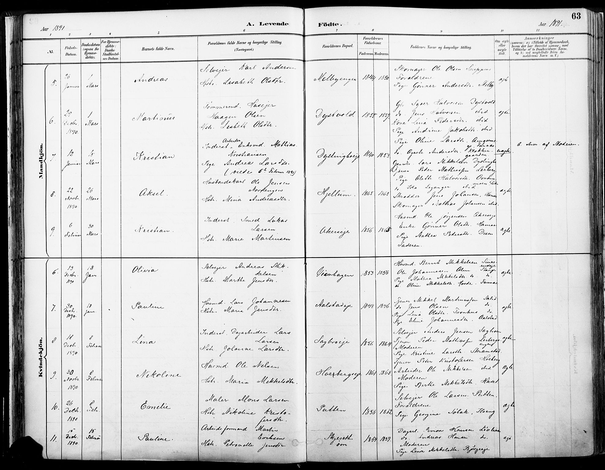 Vang prestekontor, Hedmark, AV/SAH-PREST-008/H/Ha/Haa/L0019A: Parish register (official) no. 19, 1886-1900, p. 63