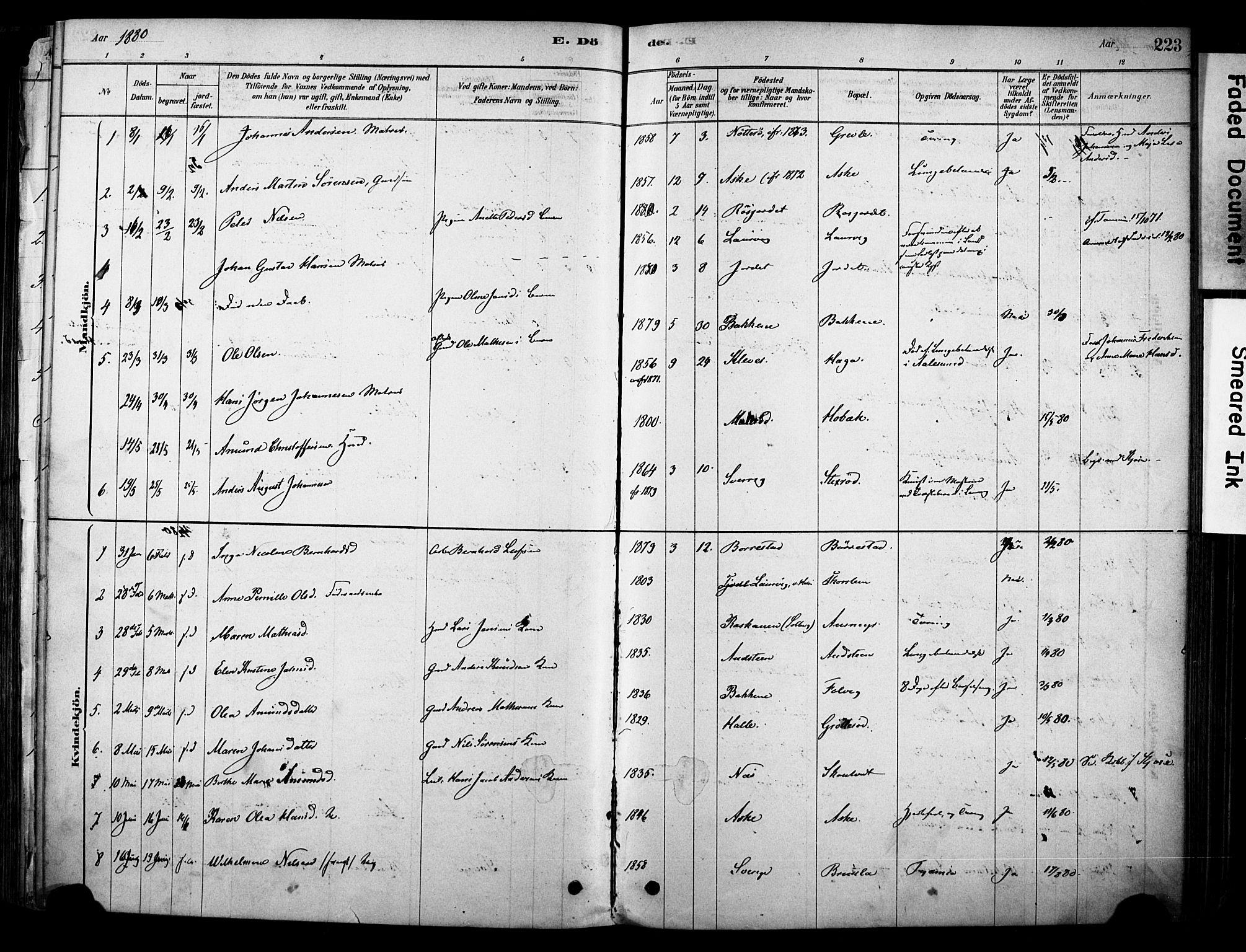 Brunlanes kirkebøker, AV/SAKO-A-342/F/Fc/L0001: Parish register (official) no. III 1, 1878-1899, p. 223