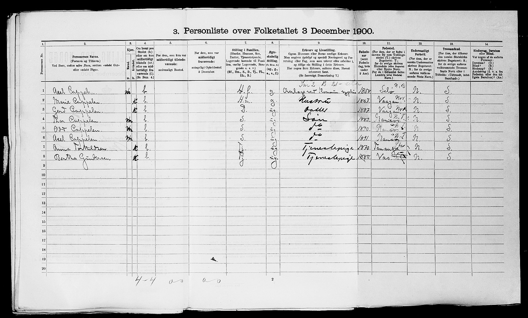 SAST, 1900 census for Stavanger, 1900, p. 6900