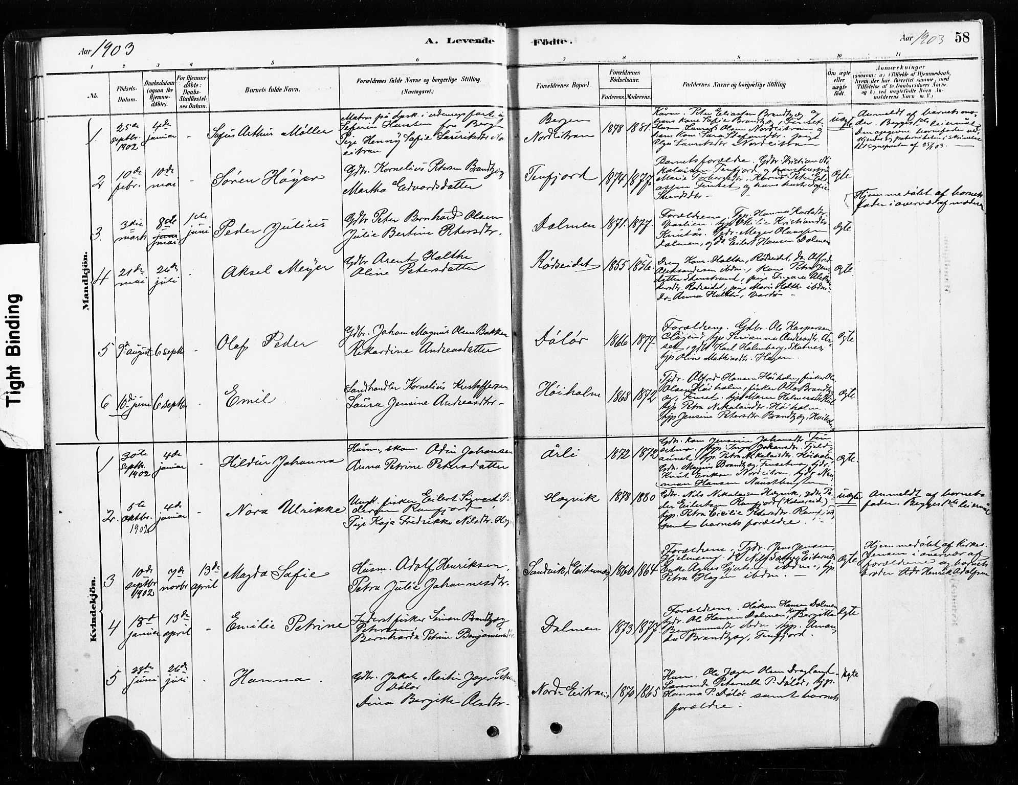 Ministerialprotokoller, klokkerbøker og fødselsregistre - Nord-Trøndelag, SAT/A-1458/789/L0705: Parish register (official) no. 789A01, 1878-1910, p. 58