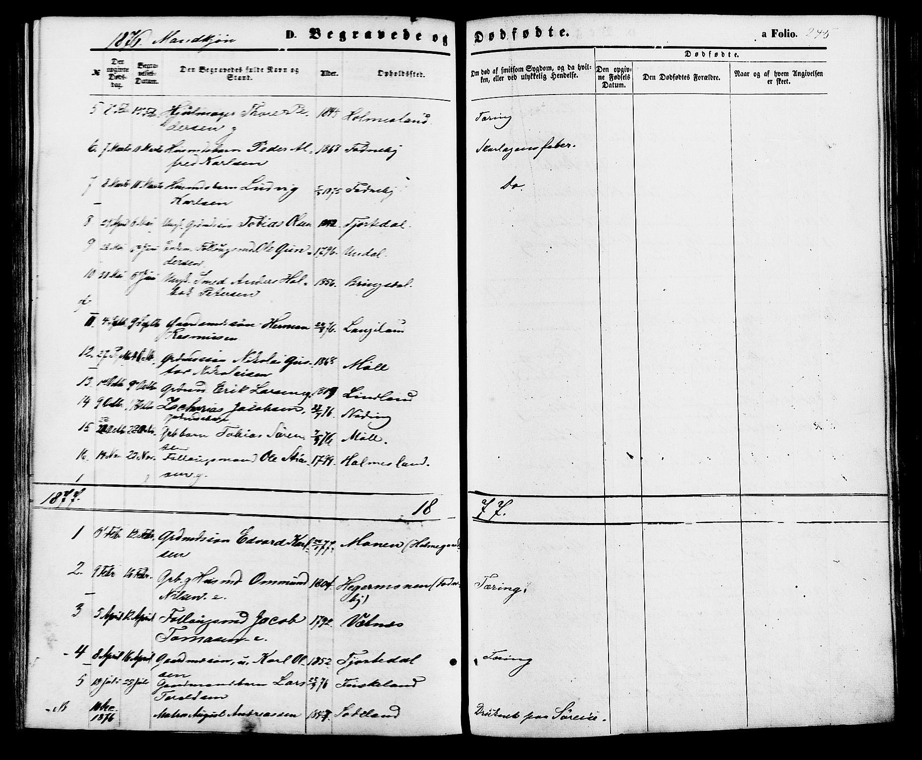 Holum sokneprestkontor, AV/SAK-1111-0022/F/Fa/Faa/L0006: Parish register (official) no. A 6, 1865-1883, p. 245