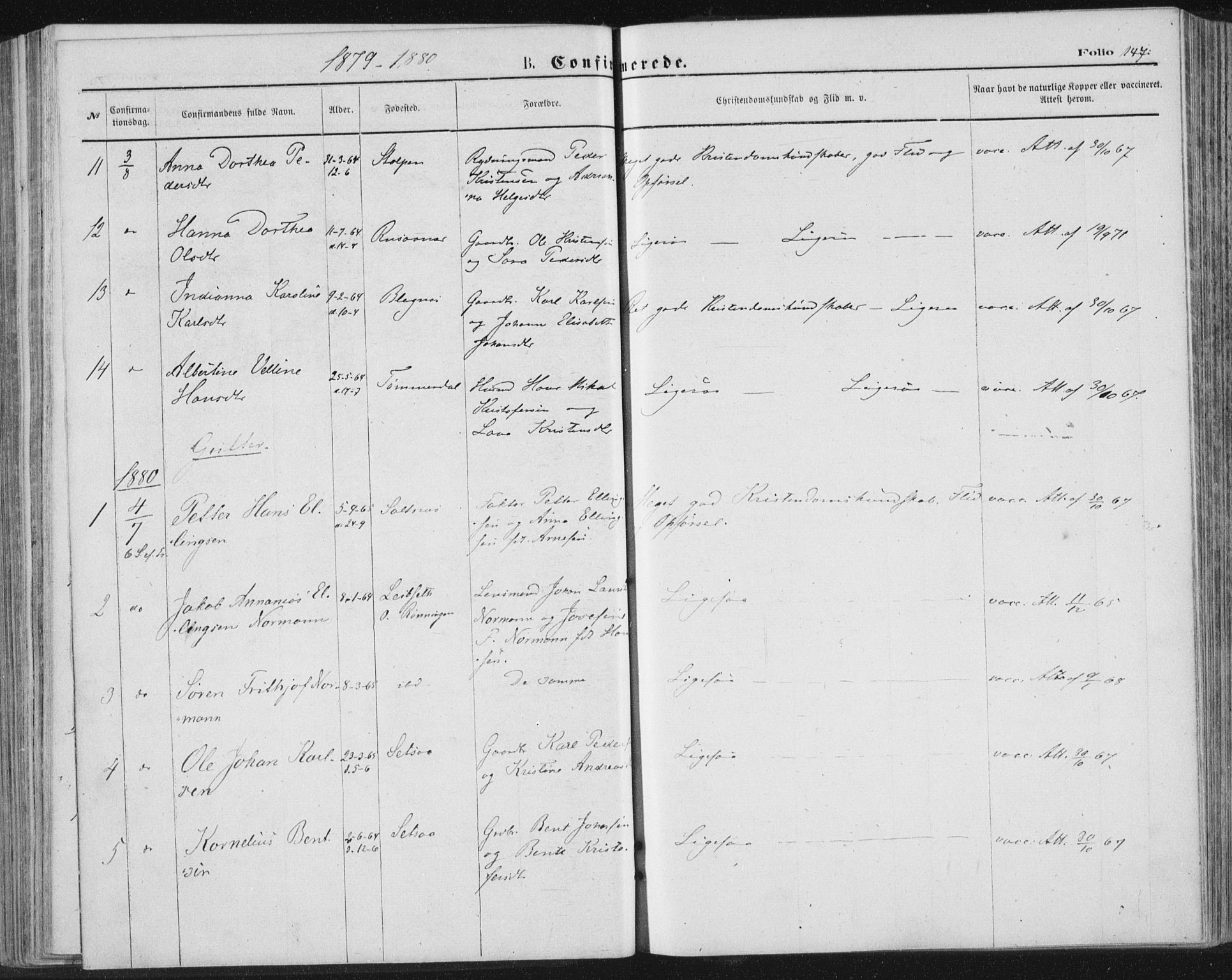 Ministerialprotokoller, klokkerbøker og fødselsregistre - Nordland, AV/SAT-A-1459/847/L0668: Parish register (official) no. 847A08, 1872-1886, p. 147