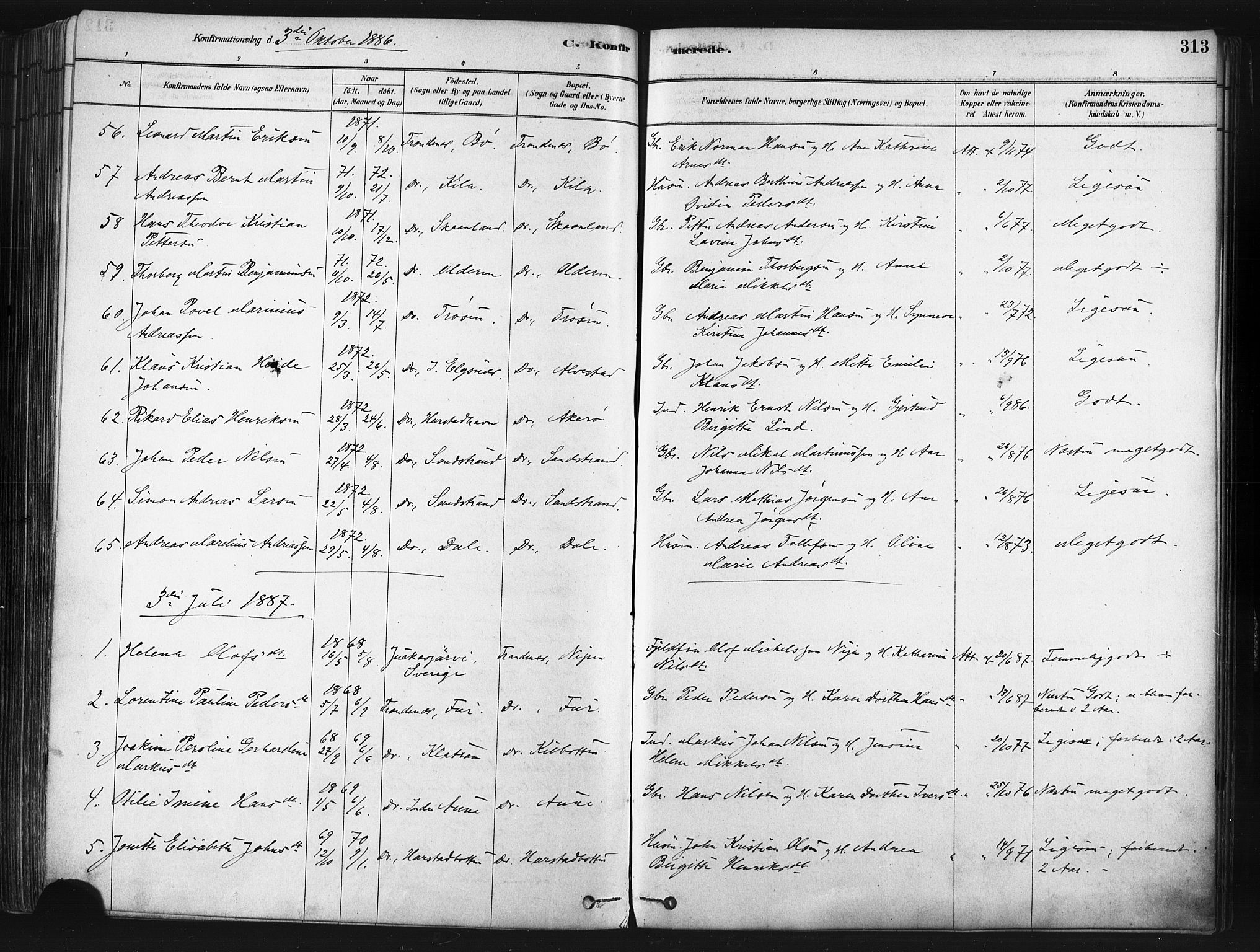 Trondenes sokneprestkontor, SATØ/S-1319/H/Ha/L0014kirke: Parish register (official) no. 14, 1878-1889, p. 313