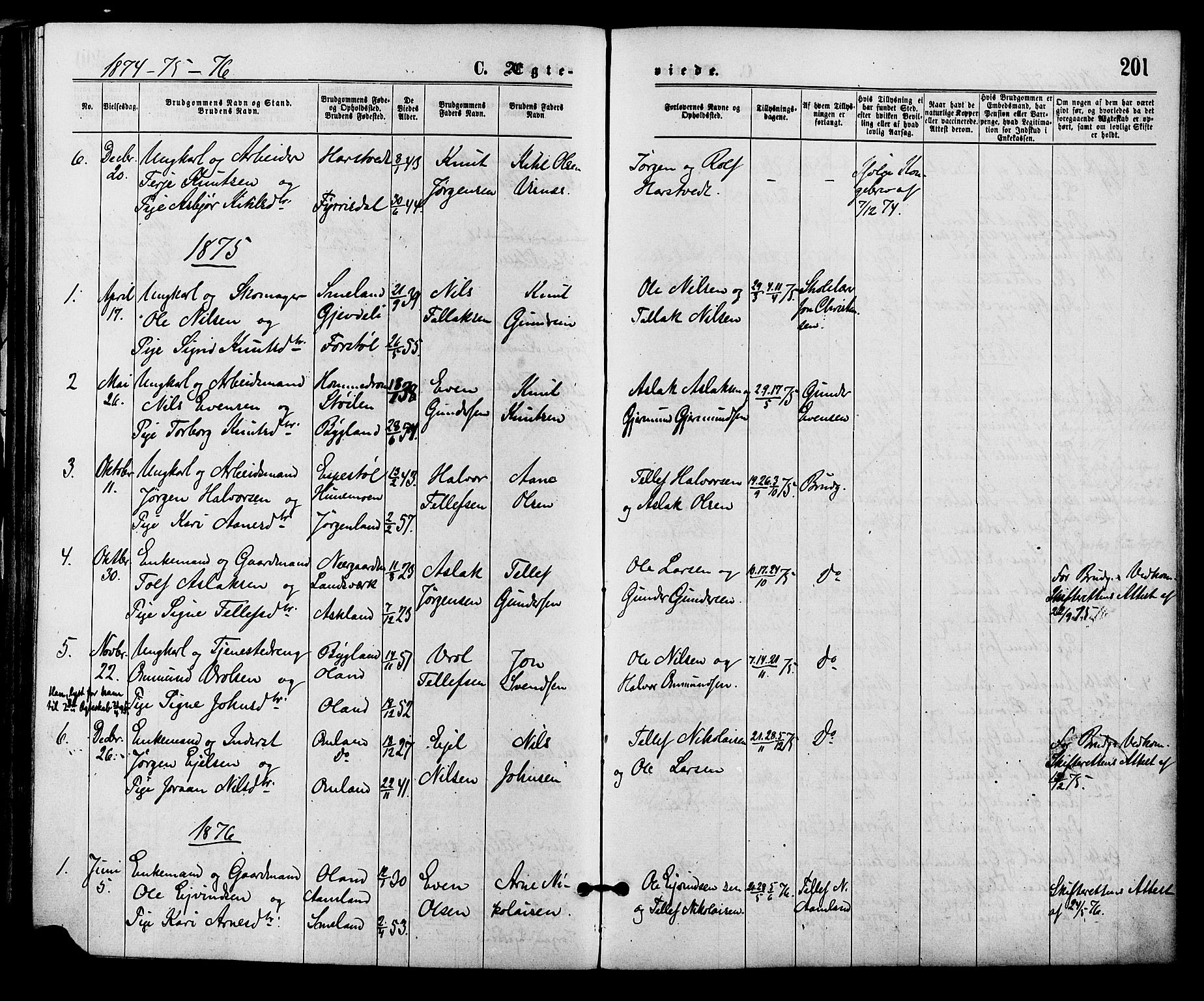 Åmli sokneprestkontor, AV/SAK-1111-0050/F/Fa/Fac/L0009: Parish register (official) no. A 9 /2, 1869-1884, p. 201