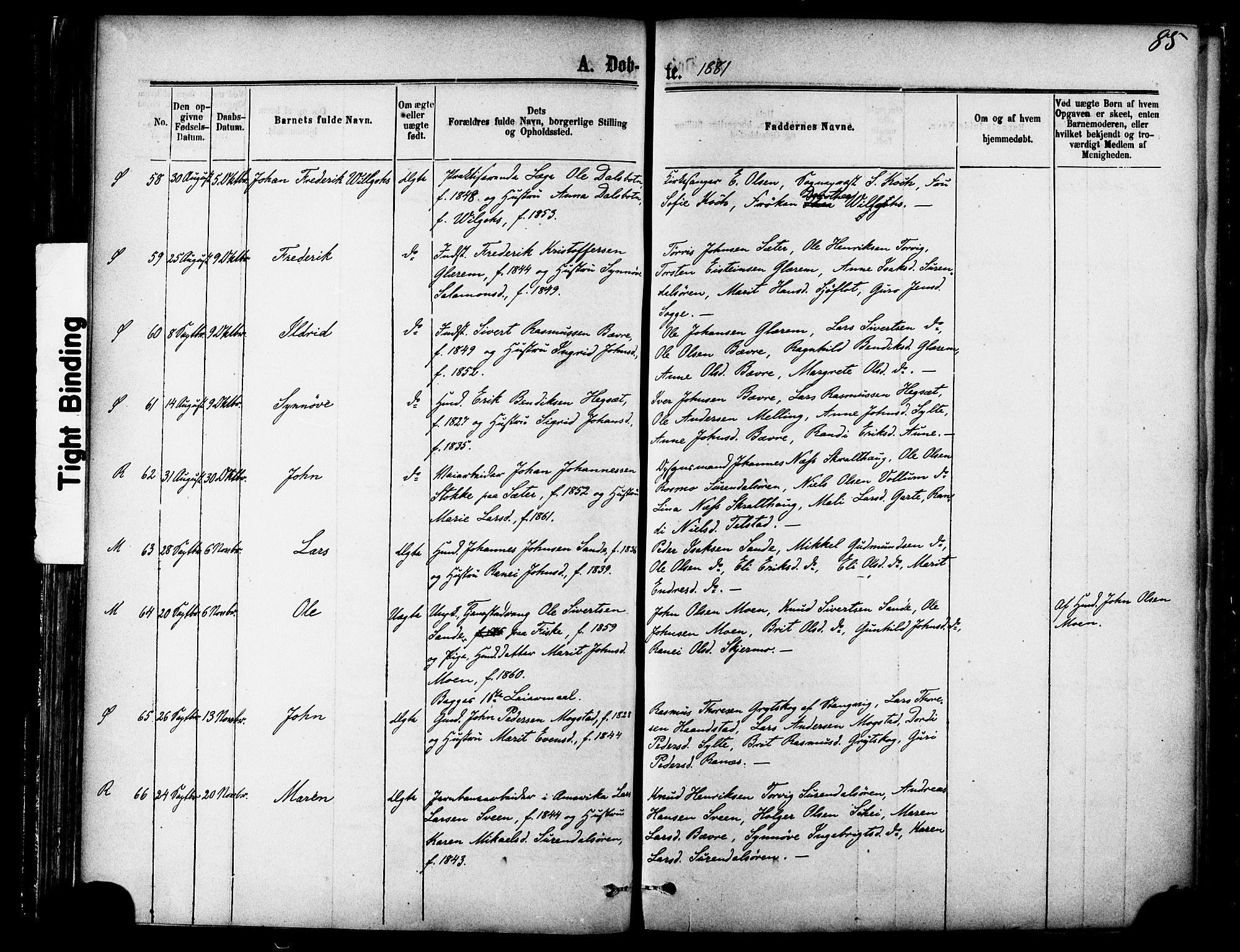 Ministerialprotokoller, klokkerbøker og fødselsregistre - Møre og Romsdal, AV/SAT-A-1454/595/L1046: Parish register (official) no. 595A08, 1874-1884, p. 85