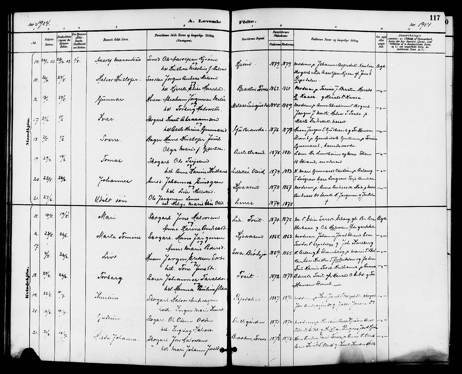 Drangedal kirkebøker, AV/SAKO-A-258/G/Ga/L0003: Parish register (copy) no. I 3, 1887-1906, p. 117