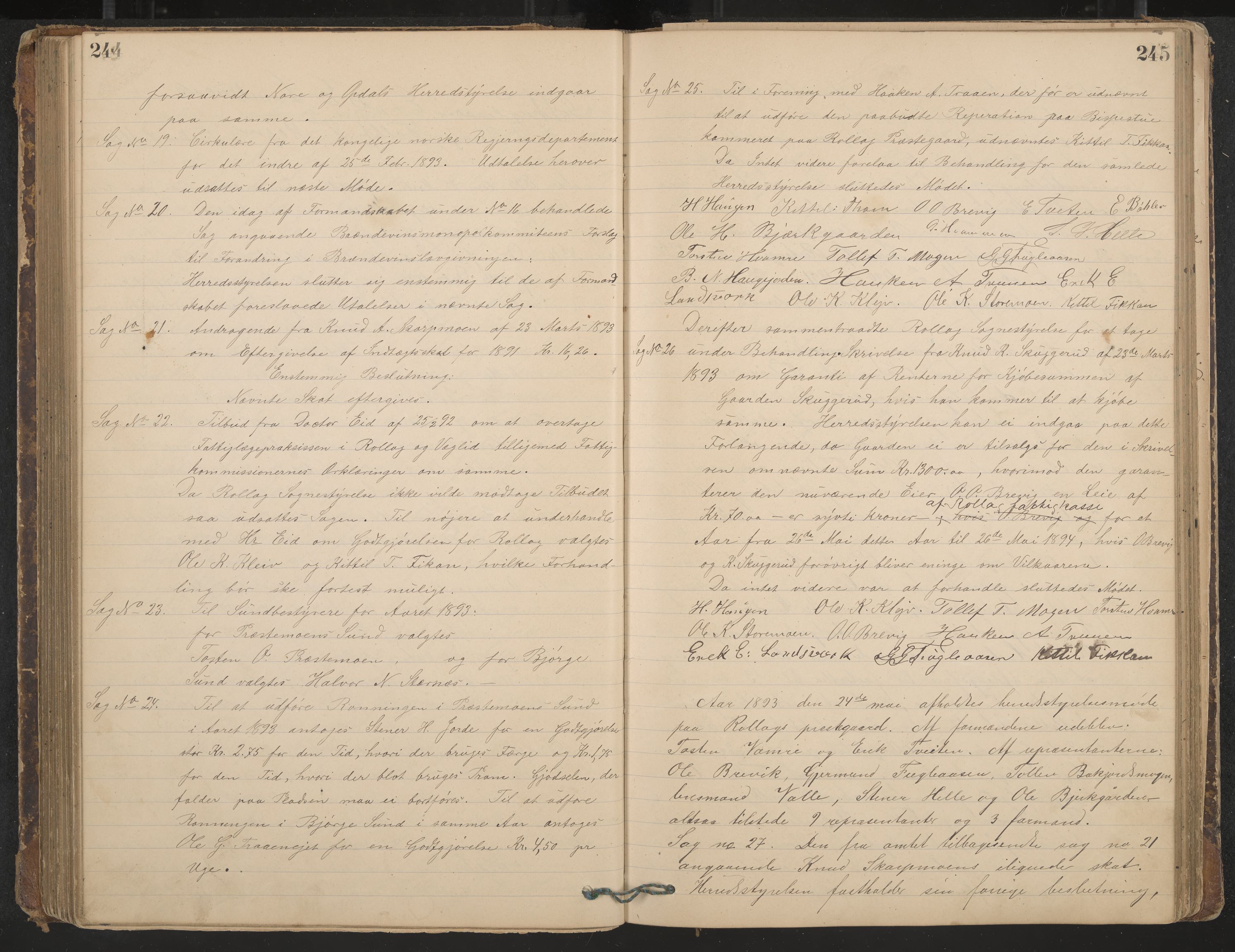 Rollag formannskap og sentraladministrasjon, IKAK/0632021-2/A/Aa/L0003: Møtebok, 1884-1897, p. 244-245