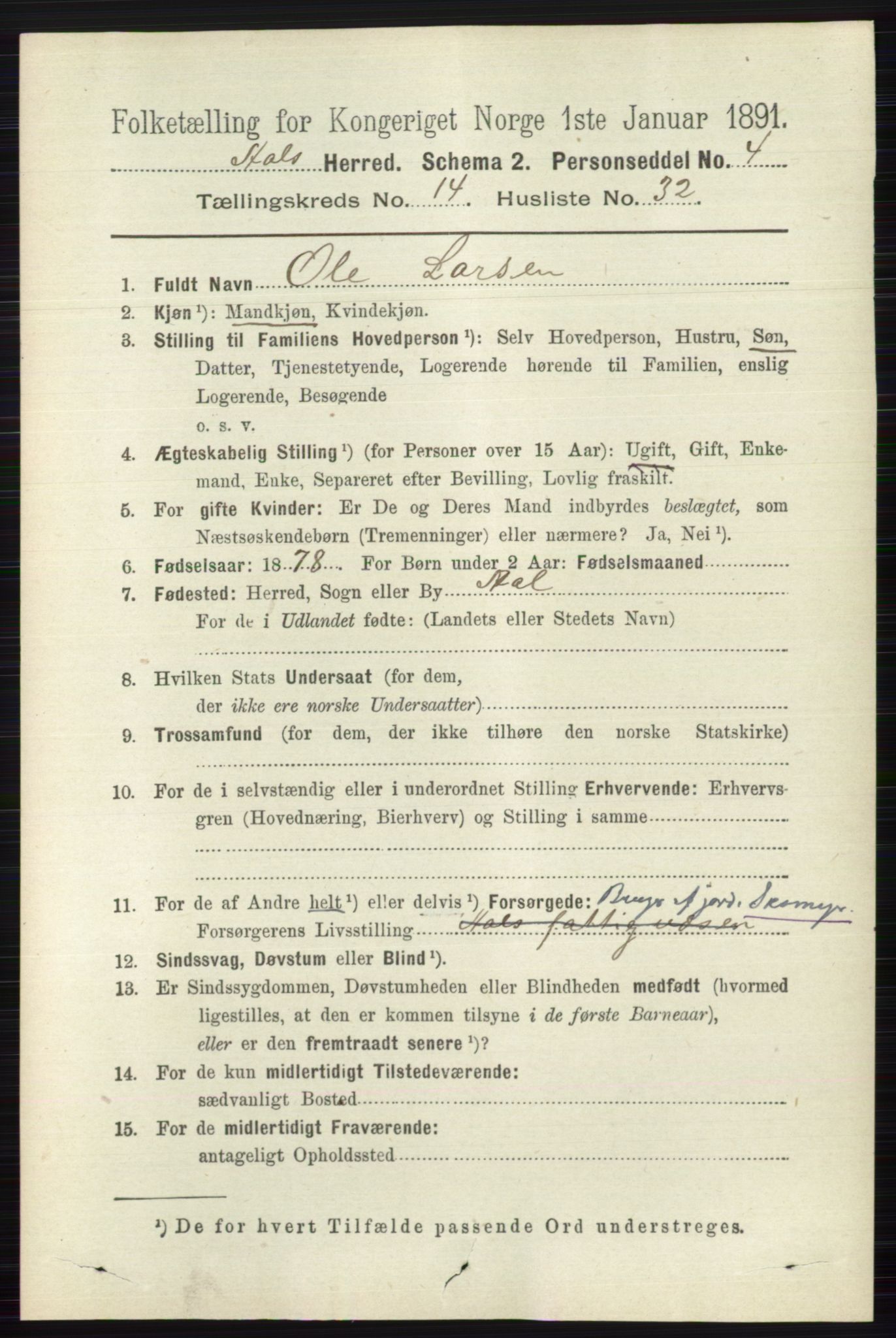 RA, 1891 census for 0619 Ål, 1891, p. 3699