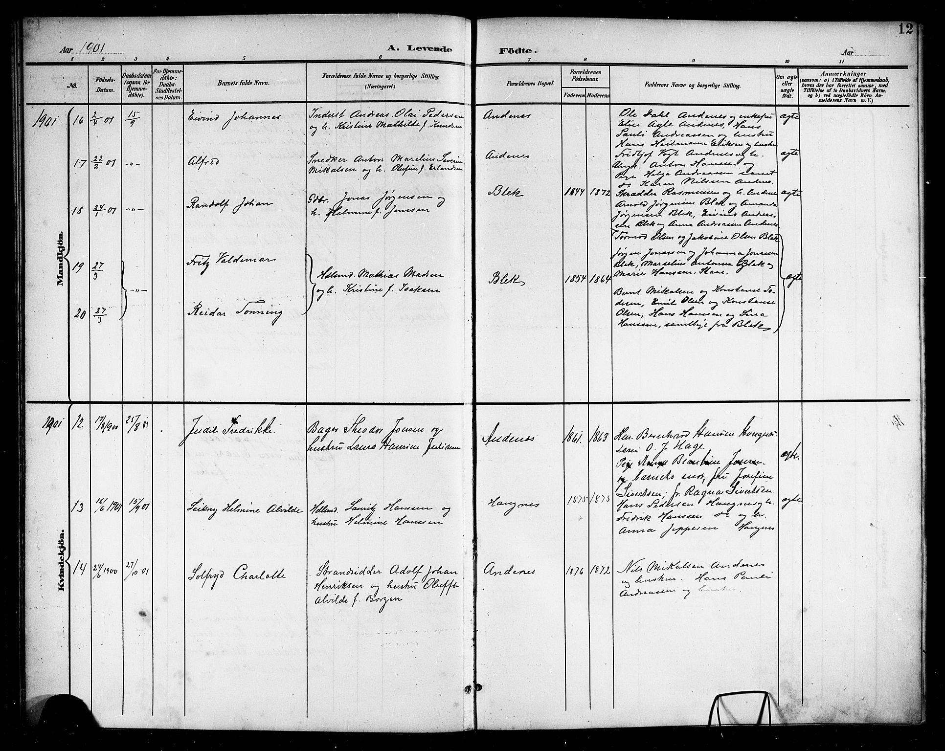 Ministerialprotokoller, klokkerbøker og fødselsregistre - Nordland, AV/SAT-A-1459/899/L1449: Parish register (copy) no. 899C04, 1900-1918, p. 12