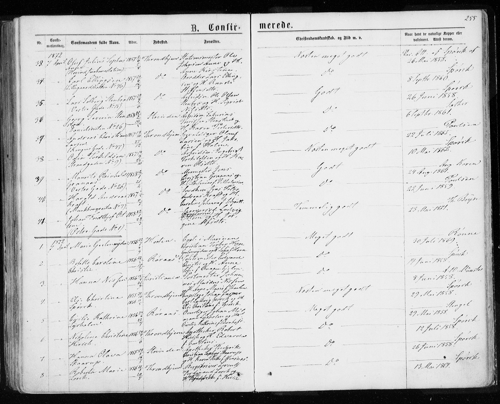 Ministerialprotokoller, klokkerbøker og fødselsregistre - Sør-Trøndelag, AV/SAT-A-1456/601/L0054: Parish register (official) no. 601A22, 1866-1877, p. 255