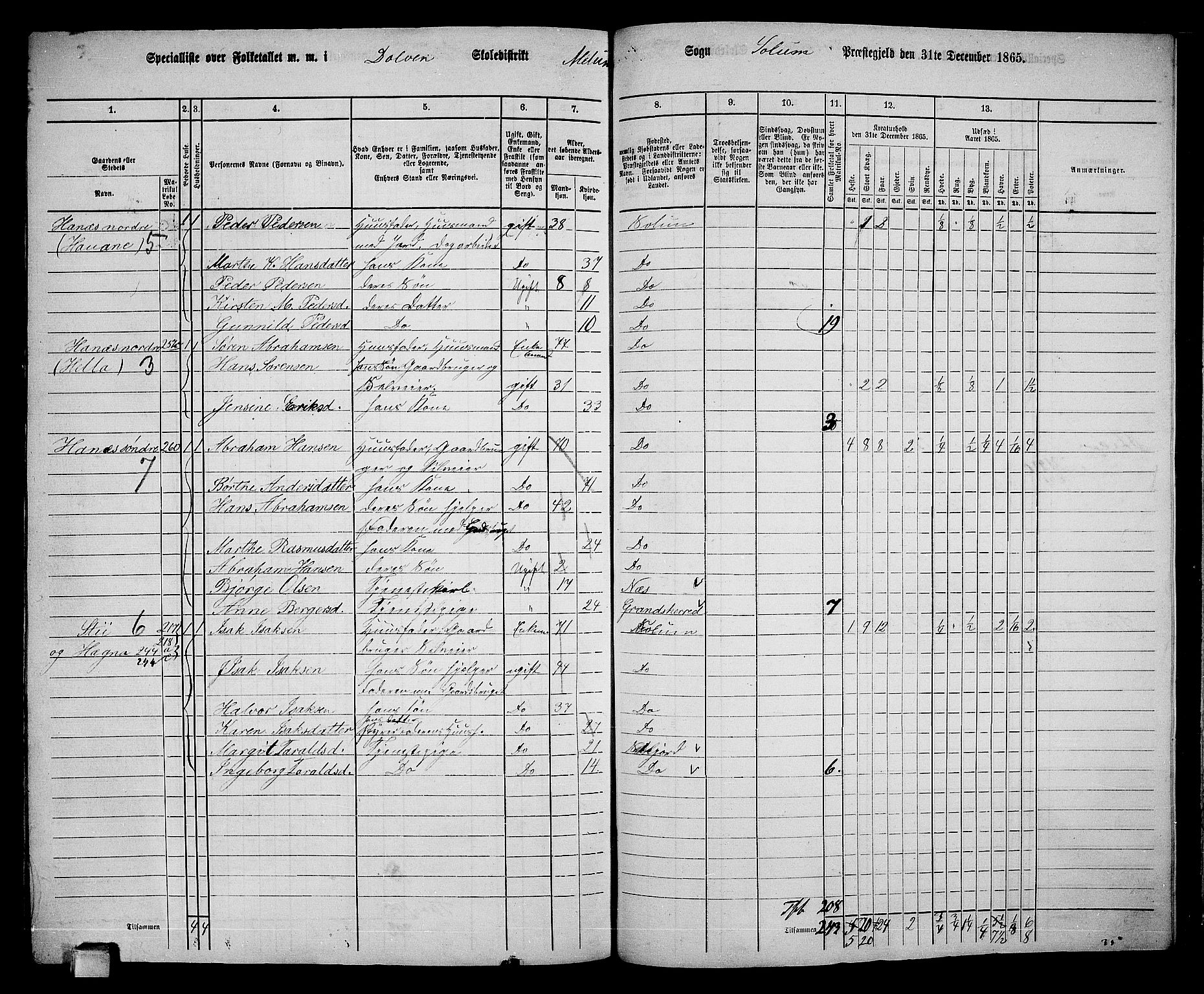 RA, 1865 census for Solum, 1865, p. 201