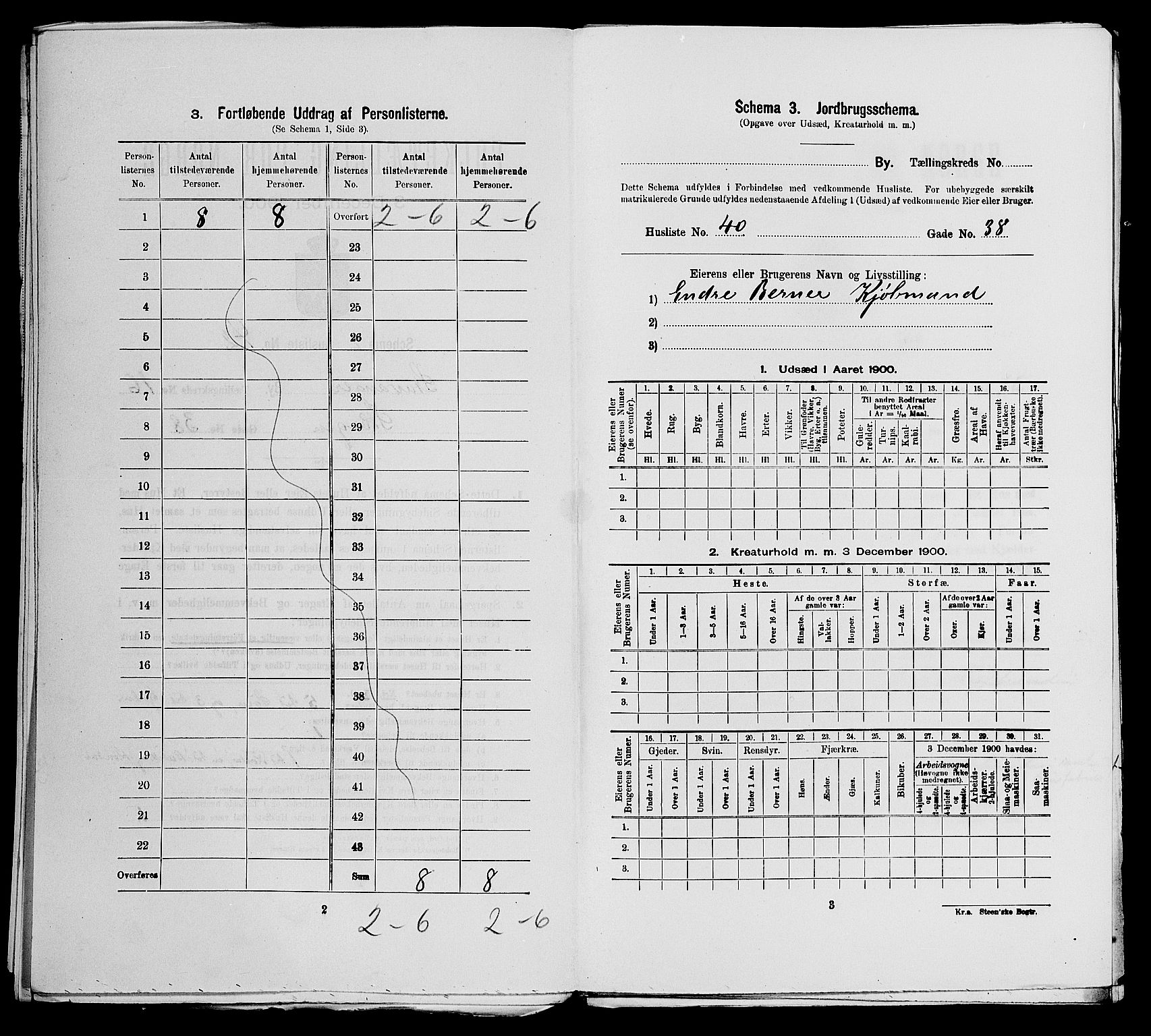 SAST, 1900 census for Stavanger, 1900, p. 6416