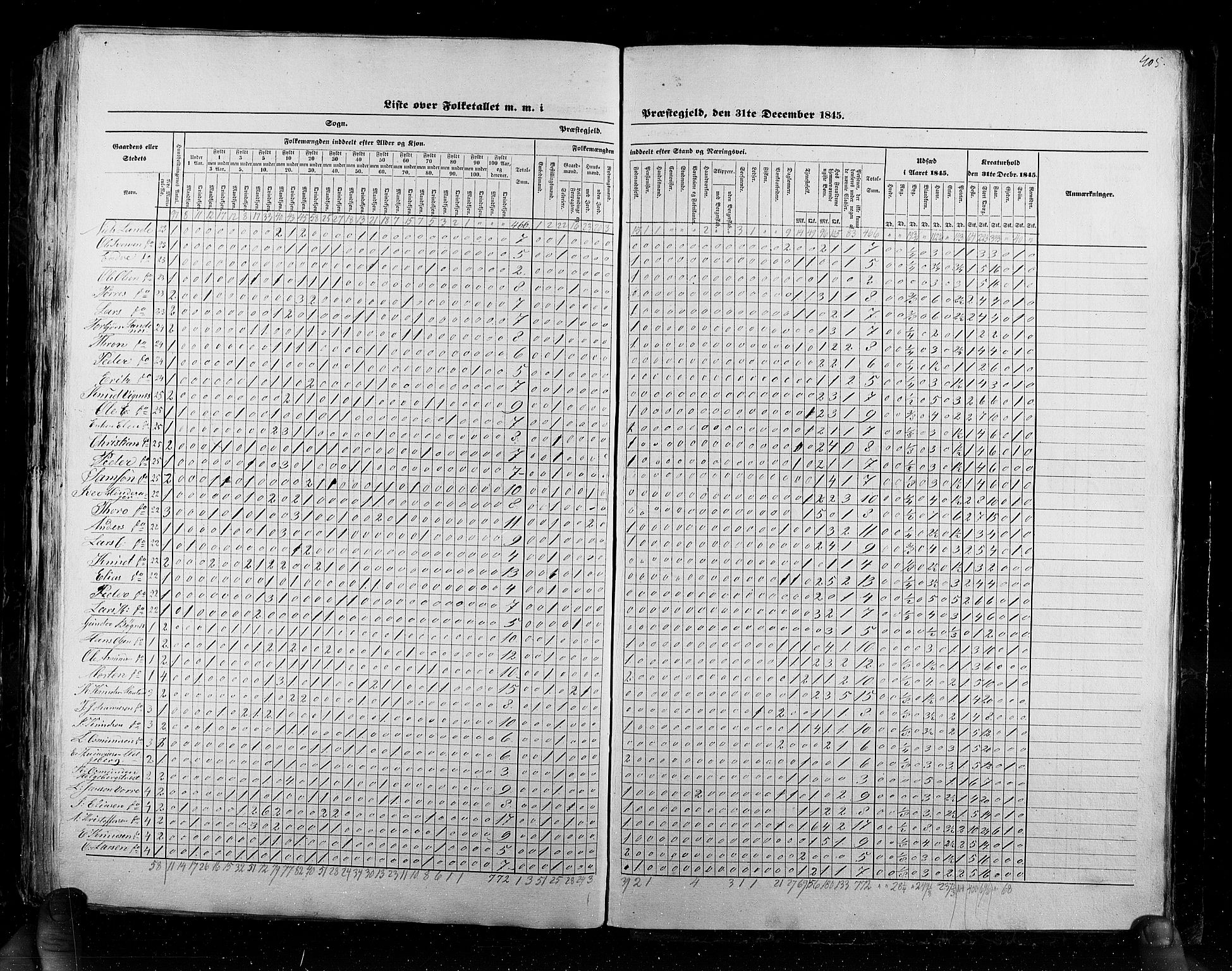 RA, Census 1845, vol. 6: Lister og Mandal amt og Stavanger amt, 1845, p. 405