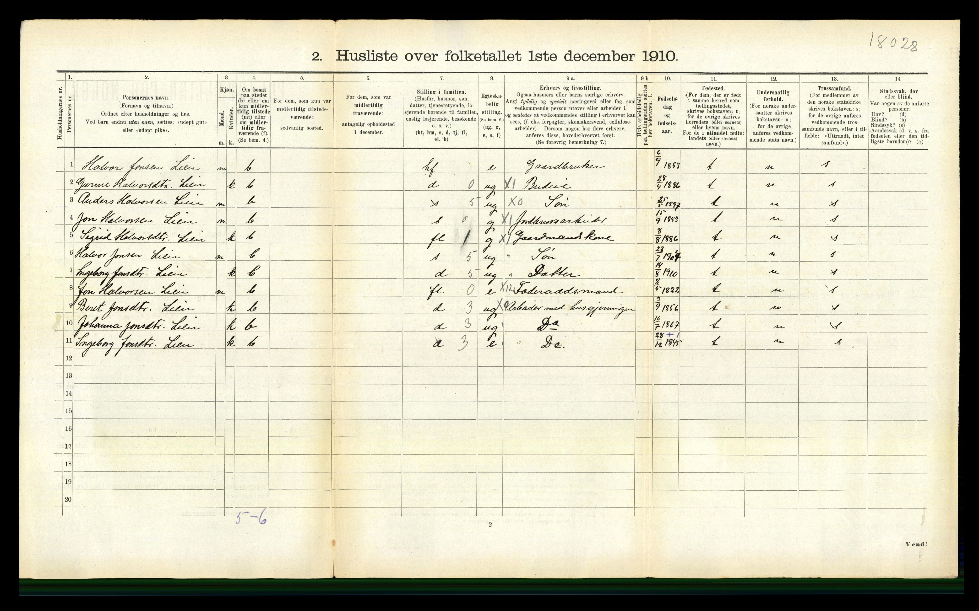 RA, 1910 census for Selbu, 1910, p. 995