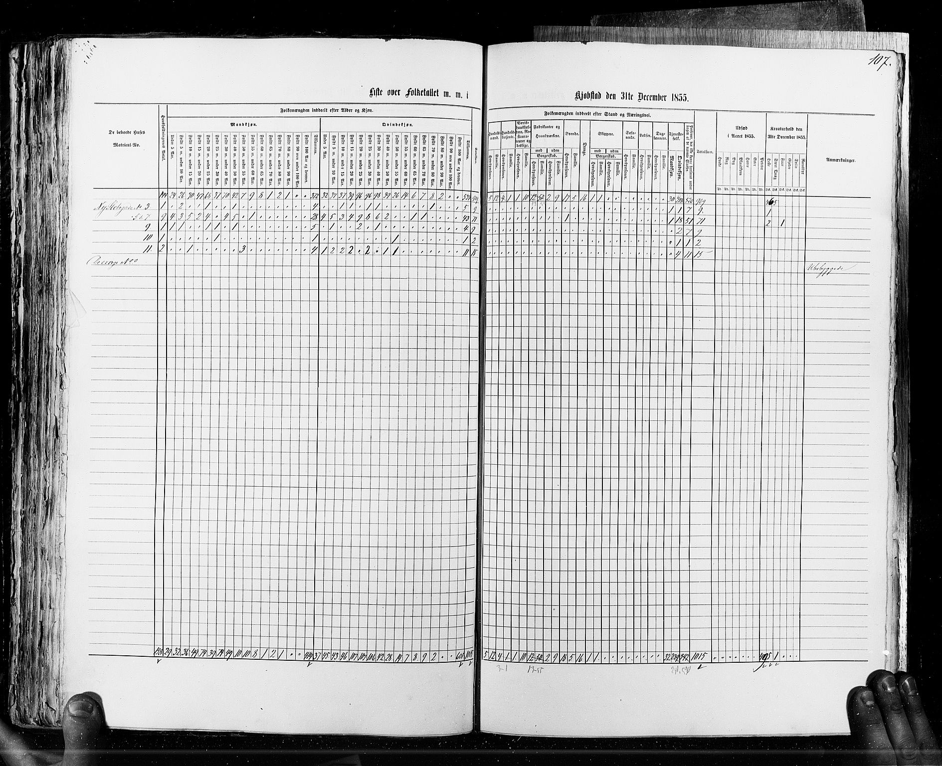 RA, Census 1855, vol. 7: Fredrikshald-Kragerø, 1855, p. 107