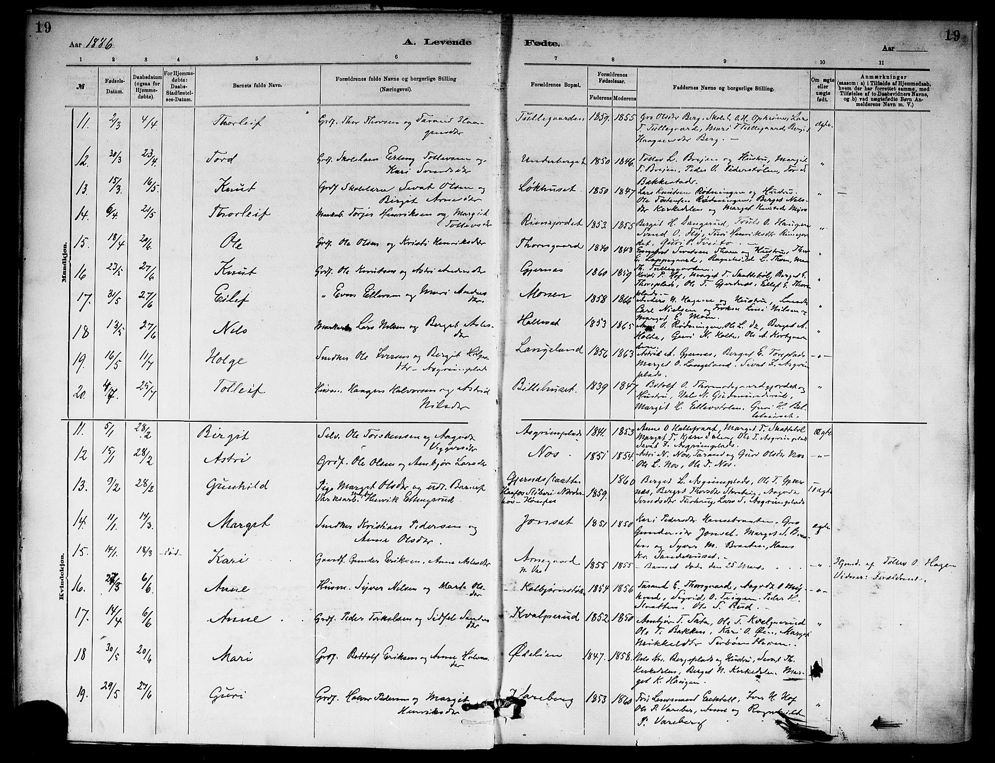 Ål kirkebøker, SAKO/A-249/F/Fa/L0008: Parish register (official) no. I 8, 1882-1896, p. 19
