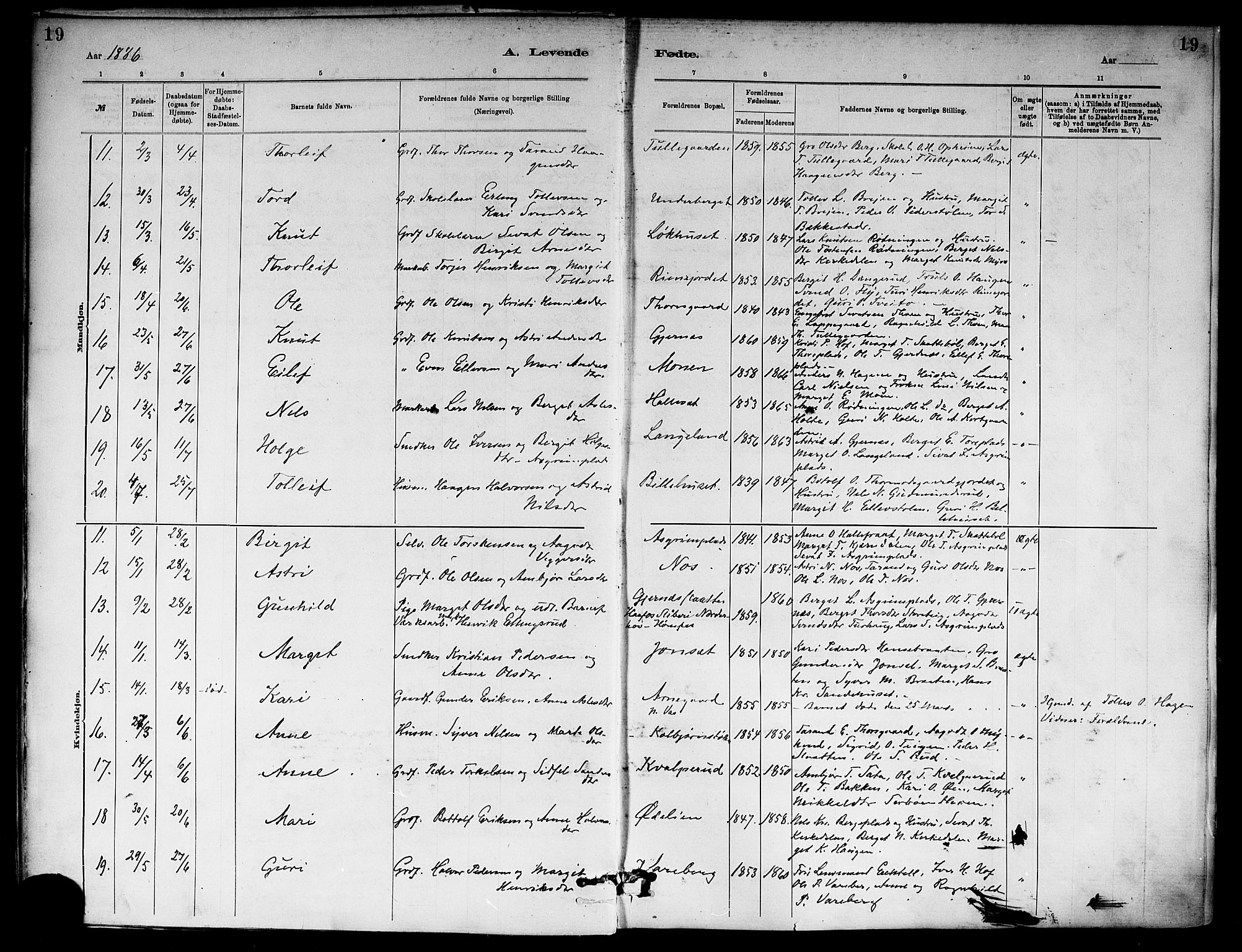 Ål kirkebøker, AV/SAKO-A-249/F/Fa/L0008: Parish register (official) no. I 8, 1882-1896, p. 19