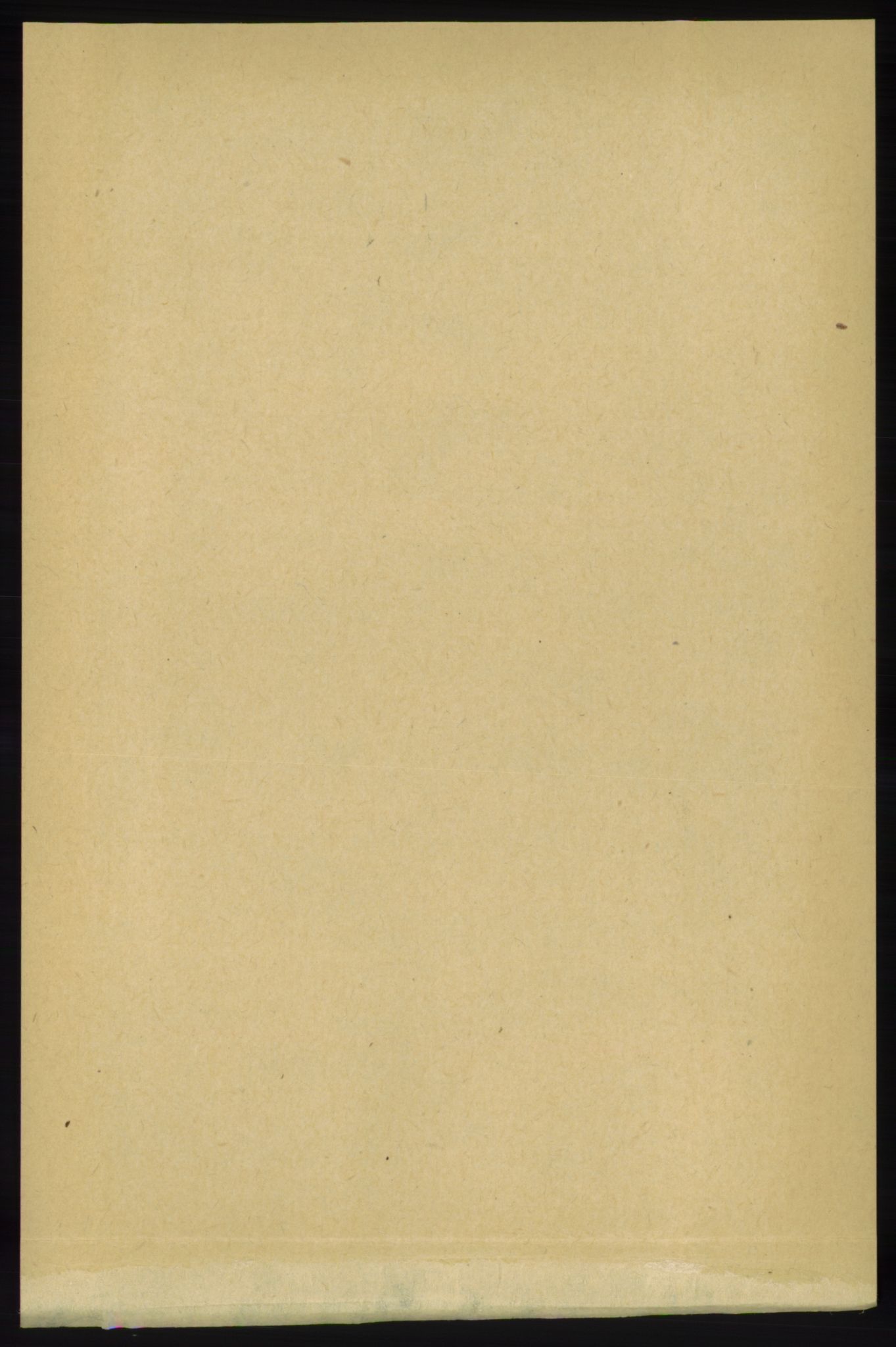 RA, 1891 census for 1138 Jelsa, 1891, p. 245