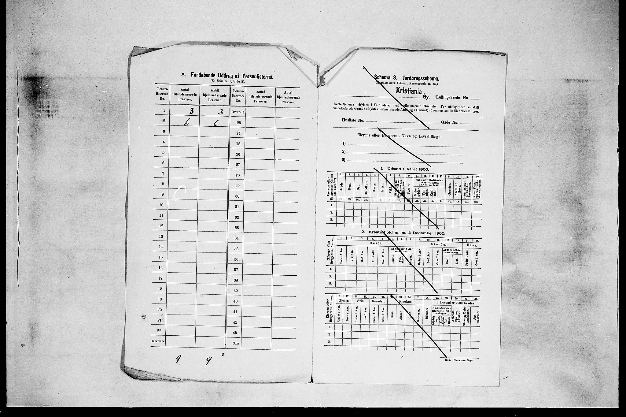 SAO, 1900 census for Kristiania, 1900, p. 12