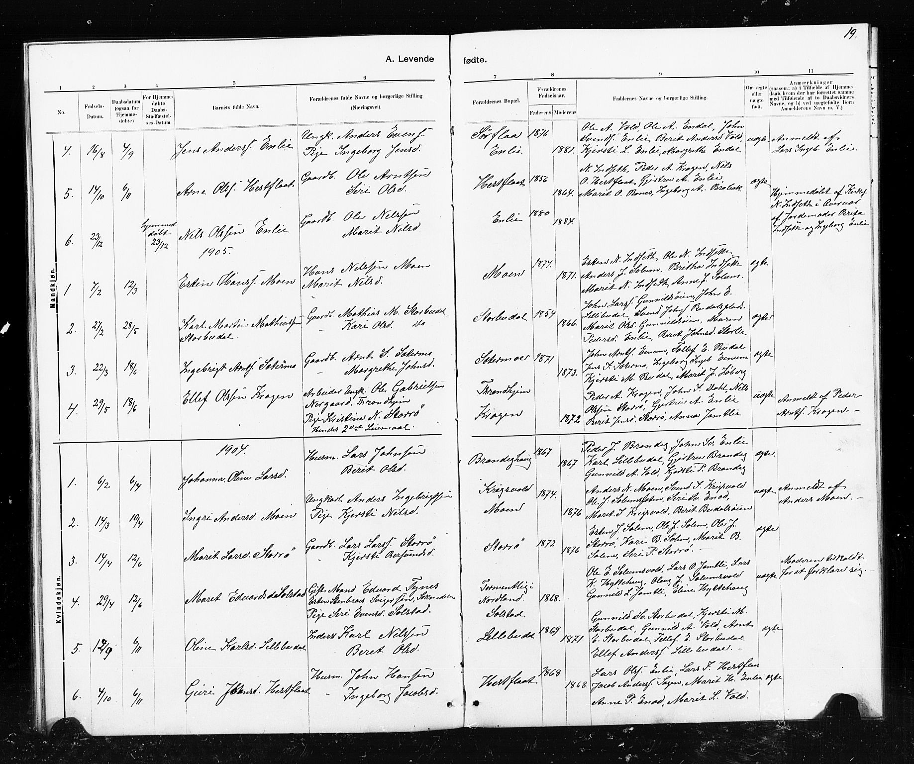 Ministerialprotokoller, klokkerbøker og fødselsregistre - Sør-Trøndelag, SAT/A-1456/690/L1051: Parish register (copy) no. 690C01, 1887-1908, p. 19