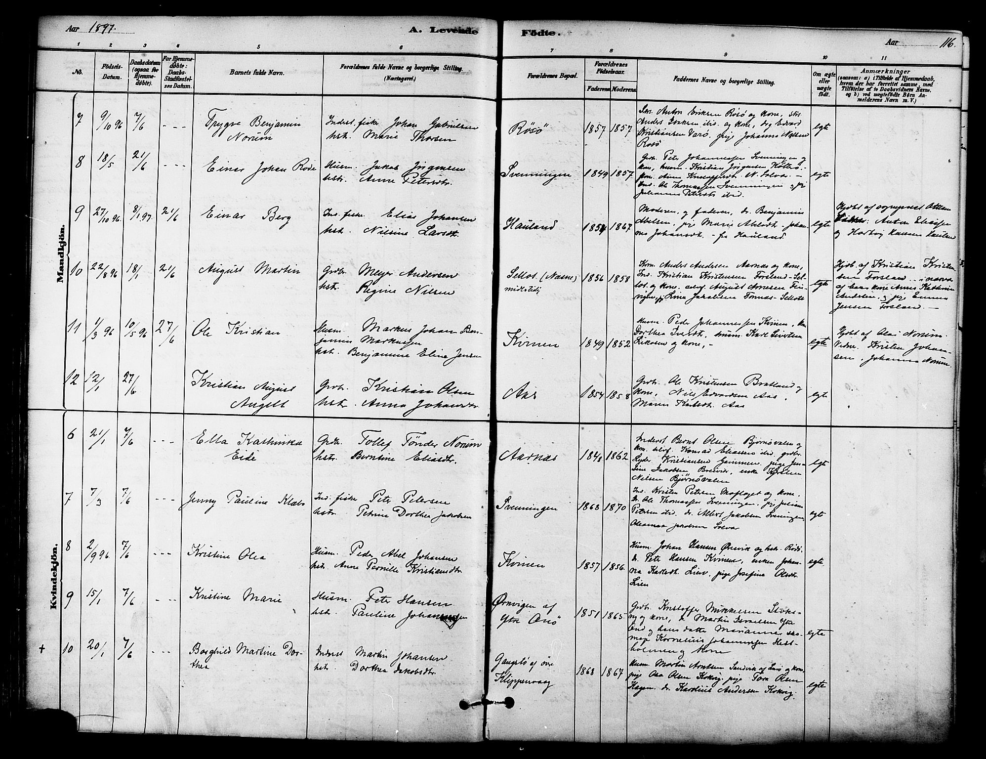 Ministerialprotokoller, klokkerbøker og fødselsregistre - Nordland, AV/SAT-A-1459/839/L0568: Parish register (official) no. 839A05, 1880-1902, p. 116