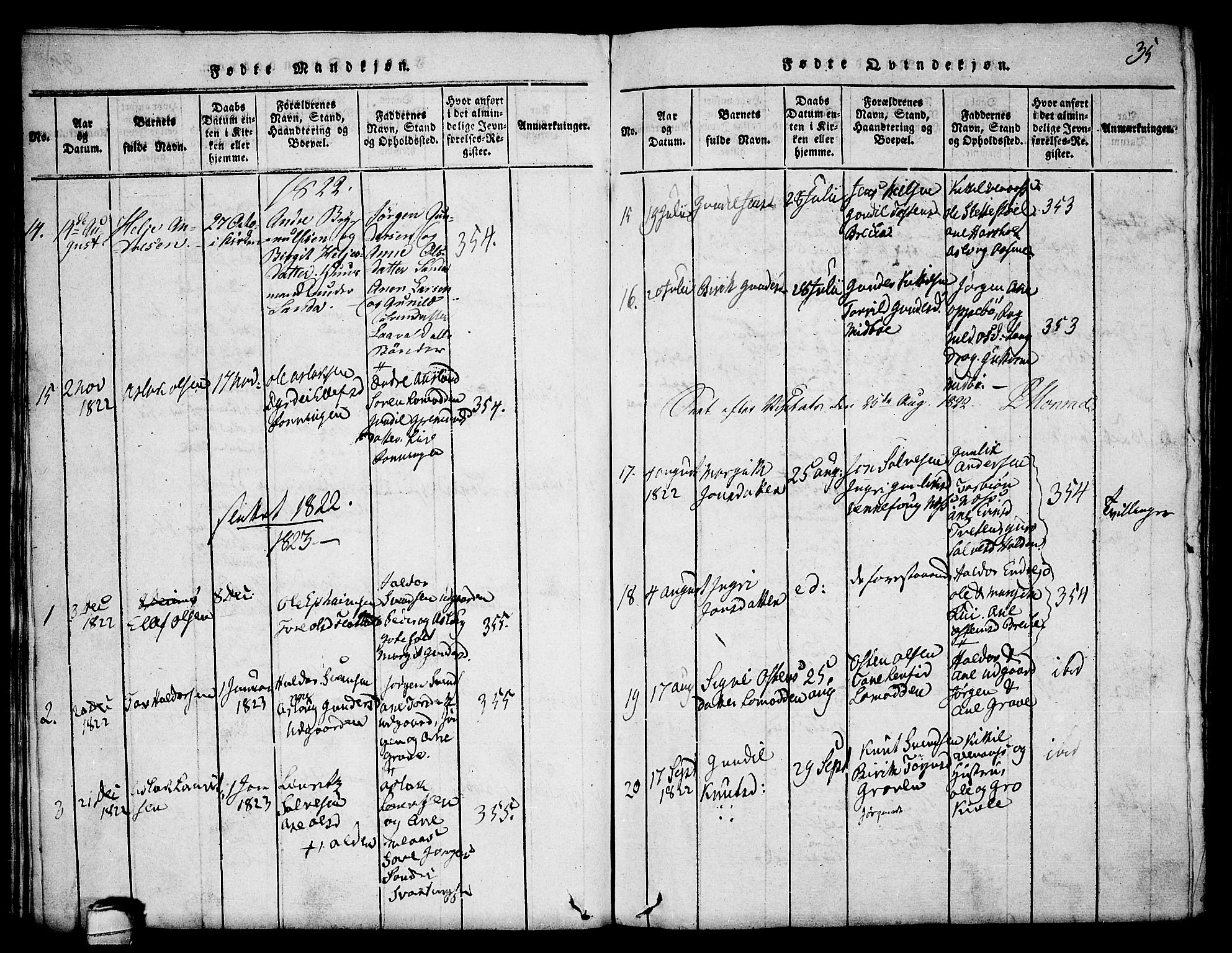 Seljord kirkebøker, SAKO/A-20/F/Fa/L0010: Parish register (official) no. I 10, 1815-1831, p. 35