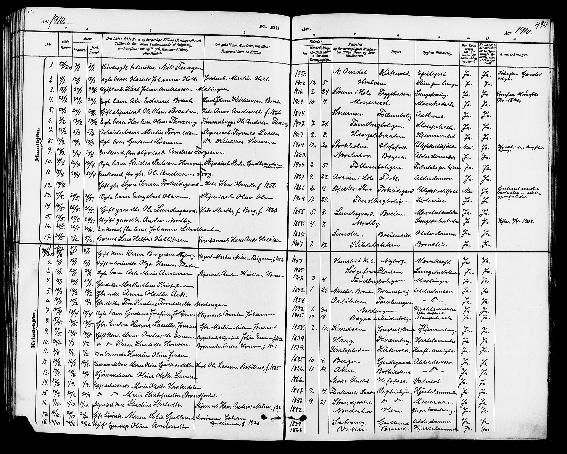 Norderhov kirkebøker, AV/SAKO-A-237/G/Ga/L0008: Parish register (copy) no. I 8, 1887-1912, p. 494