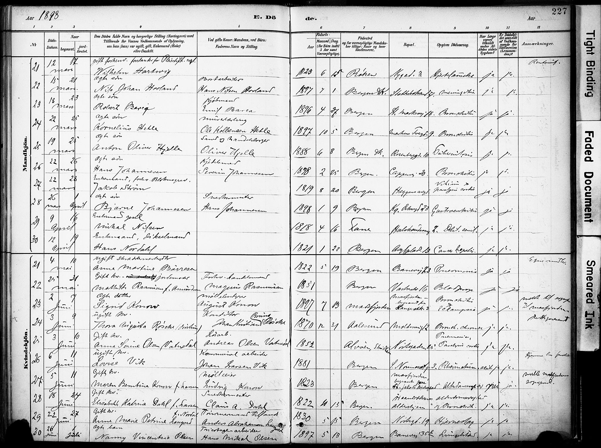 Domkirken sokneprestembete, AV/SAB-A-74801/H/Haa/L0043: Parish register (official) no. E 5, 1882-1904, p. 227