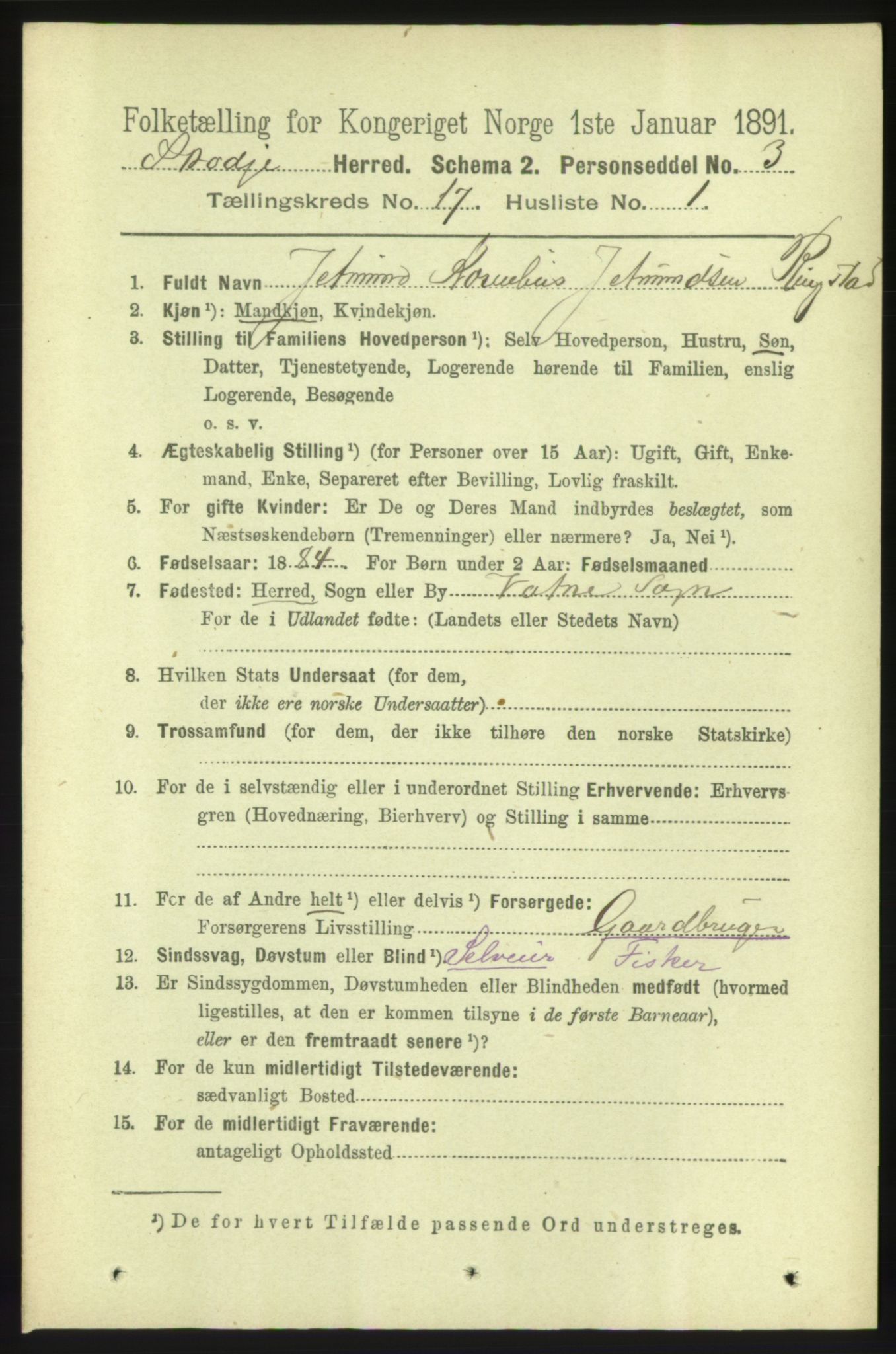 RA, 1891 census for 1529 Skodje, 1891, p. 3515