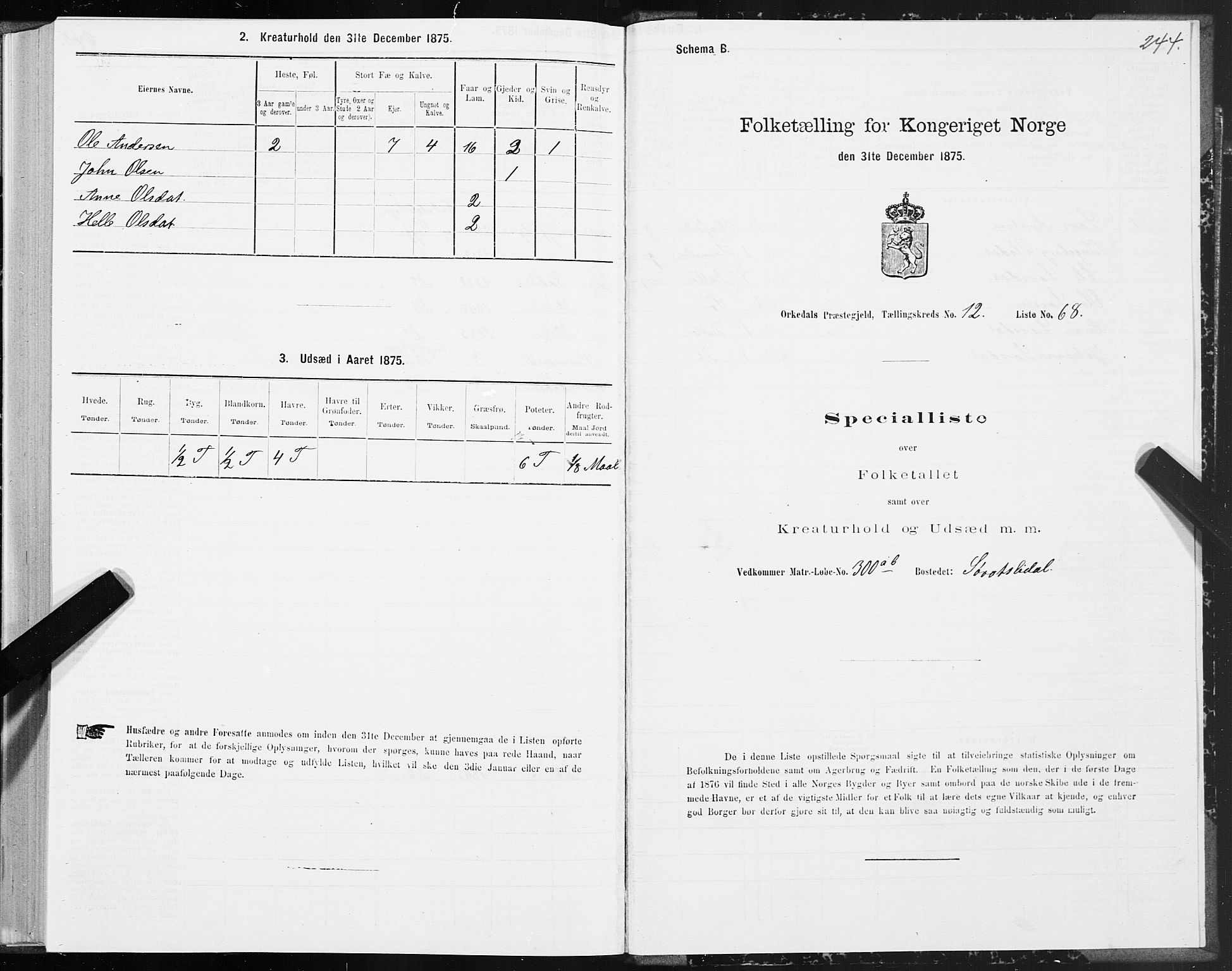 SAT, 1875 census for 1638P Orkdal, 1875, p. 6244