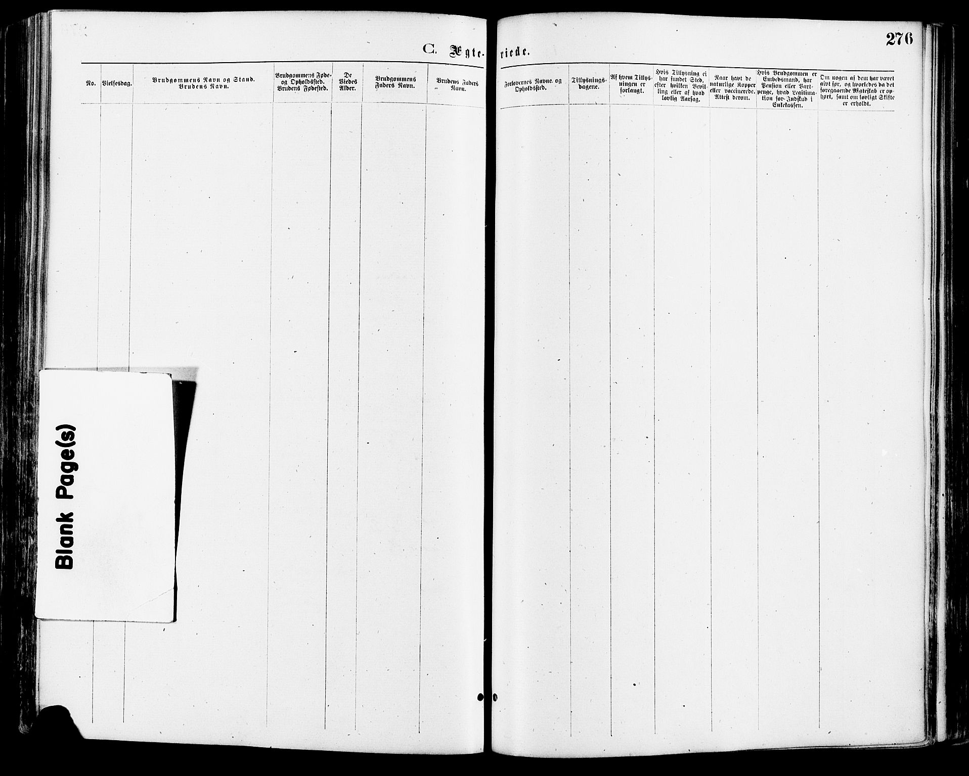 Nord-Odal prestekontor, SAH/PREST-032/H/Ha/Haa/L0005: Parish register (official) no. 5, 1874-1885, p. 276