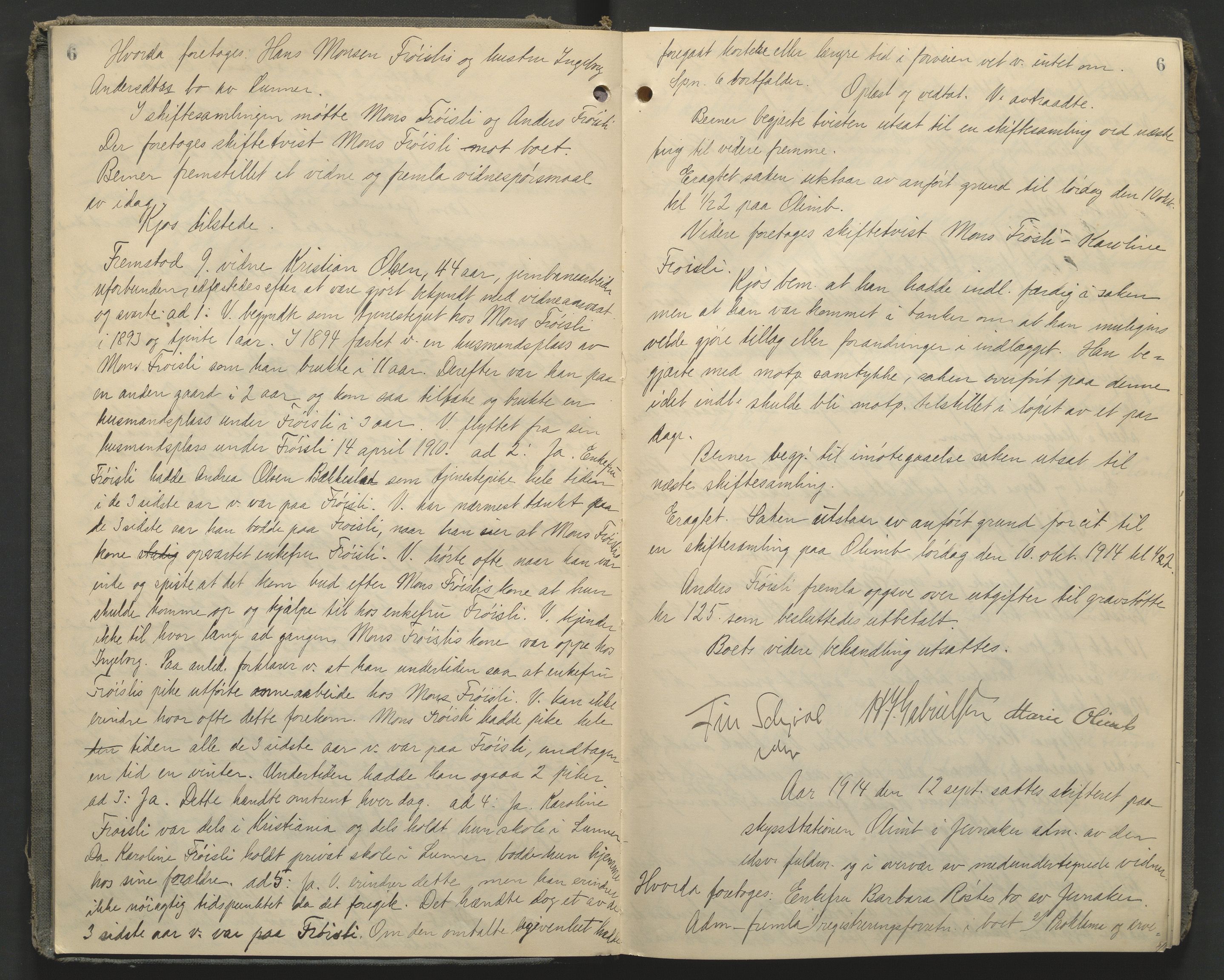 Hadeland og Land tingrett, AV/SAH-TING-010/J/Jc/L0010: Skifteforhandlingsprotokoll, 1914-1920, p. 6
