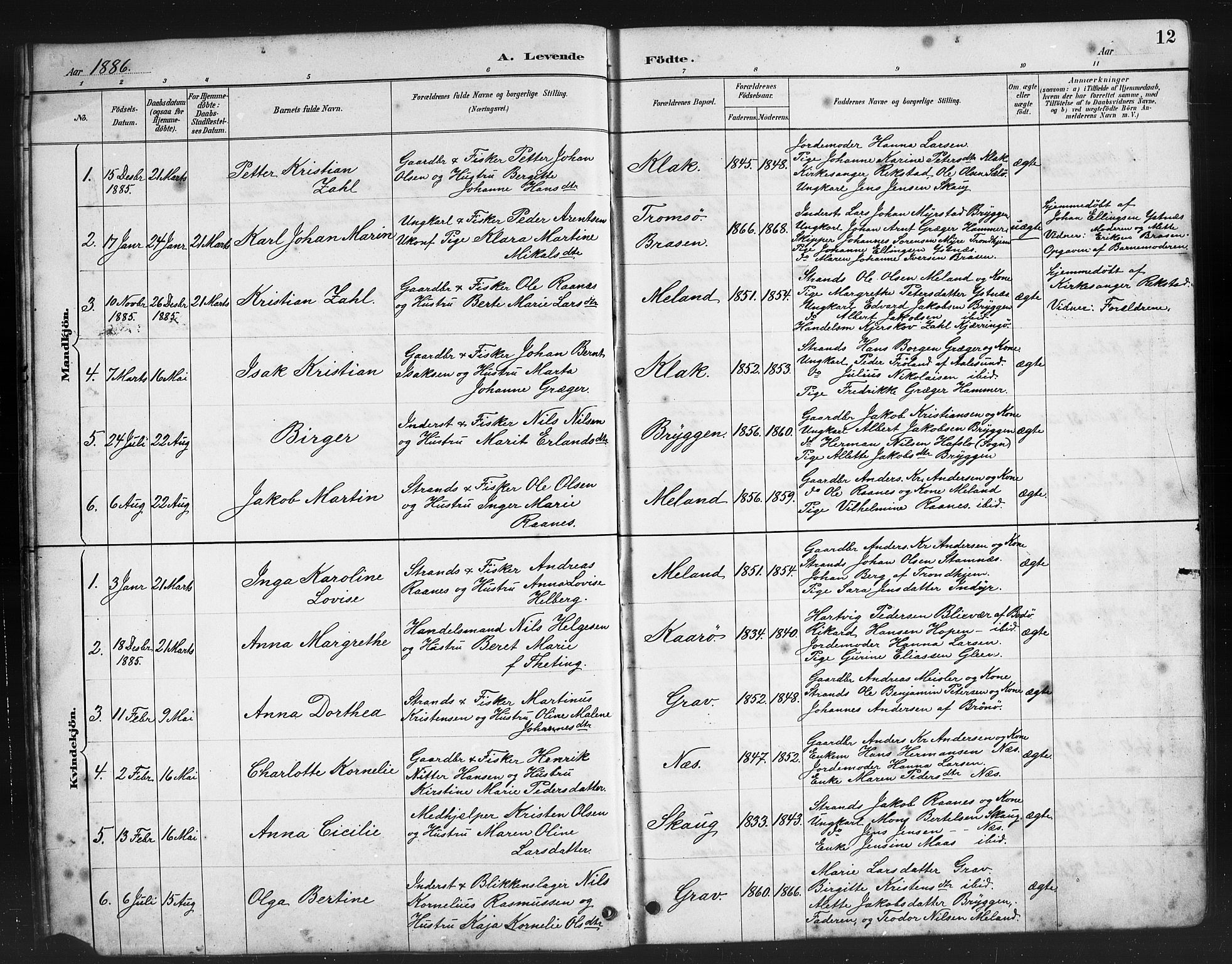 Ministerialprotokoller, klokkerbøker og fødselsregistre - Nordland, AV/SAT-A-1459/808/L0131: Parish register (copy) no. 808C02, 1879-1919, p. 12