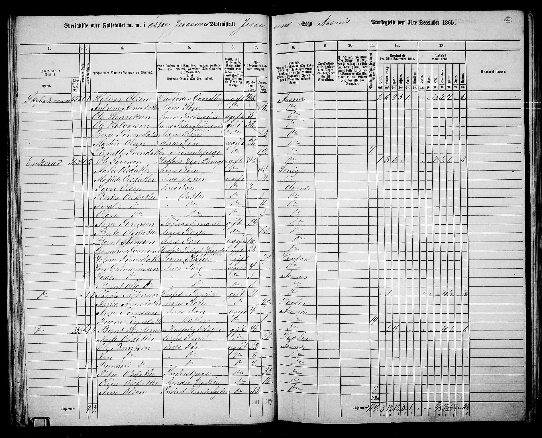 RA, 1865 census for Åsnes, 1865, p. 66