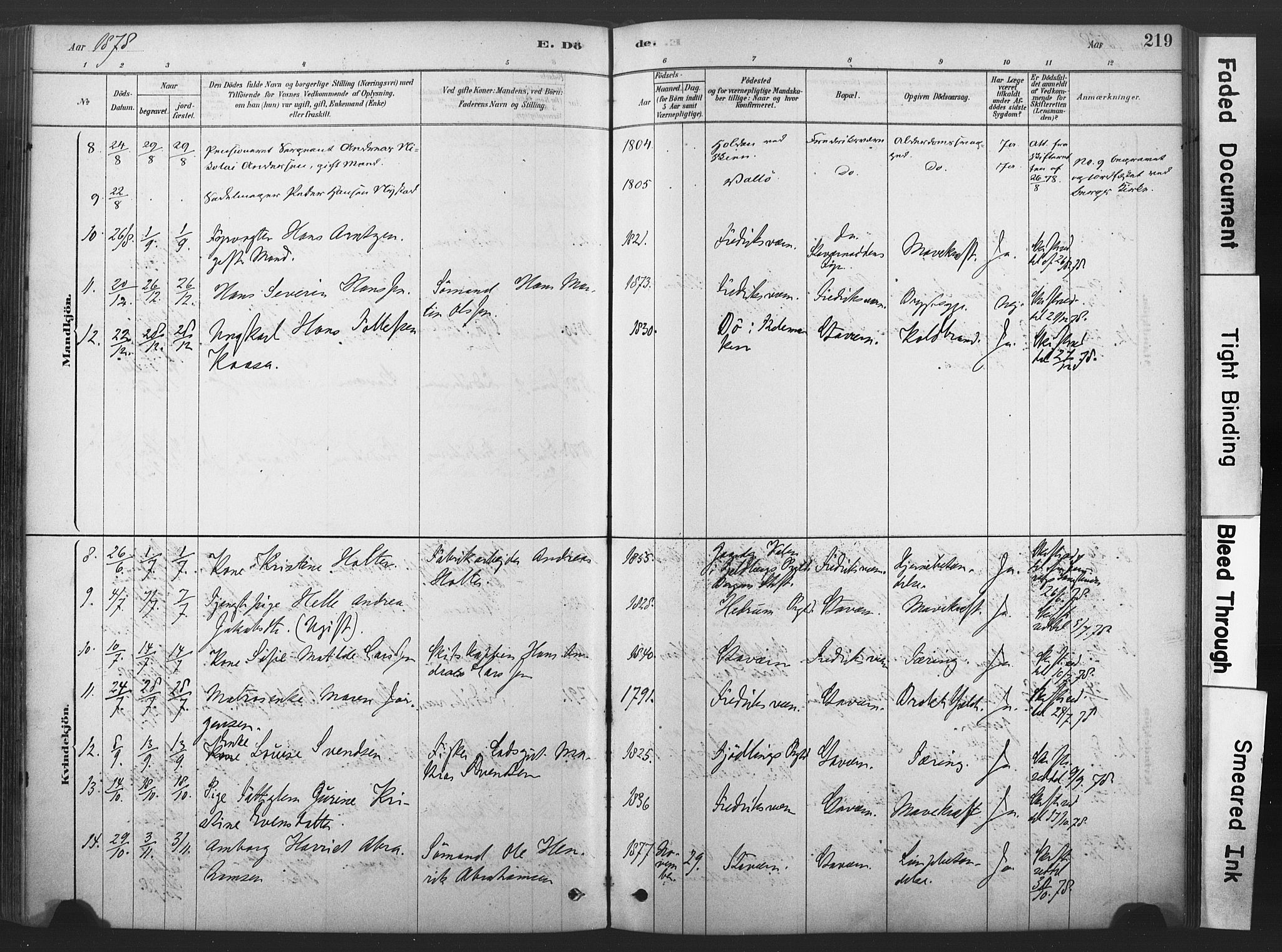 Stavern kirkebøker, AV/SAKO-A-318/F/Fa/L0008: Parish register (official) no. 8, 1878-1905, p. 219