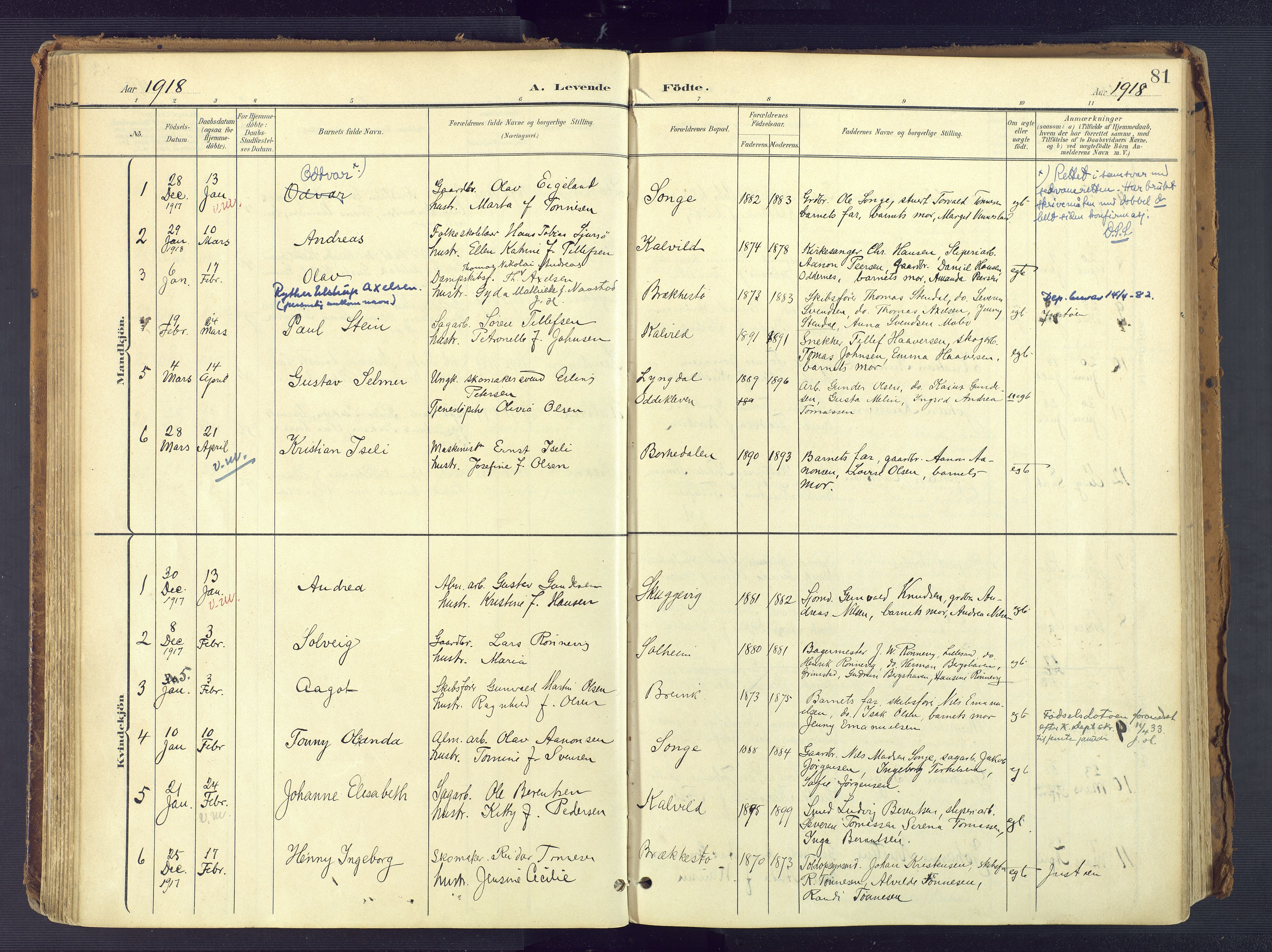 Vestre Moland sokneprestkontor, AV/SAK-1111-0046/F/Fa/Fab/L0010: Parish register (official) no. A 10, 1900-1926, p. 81