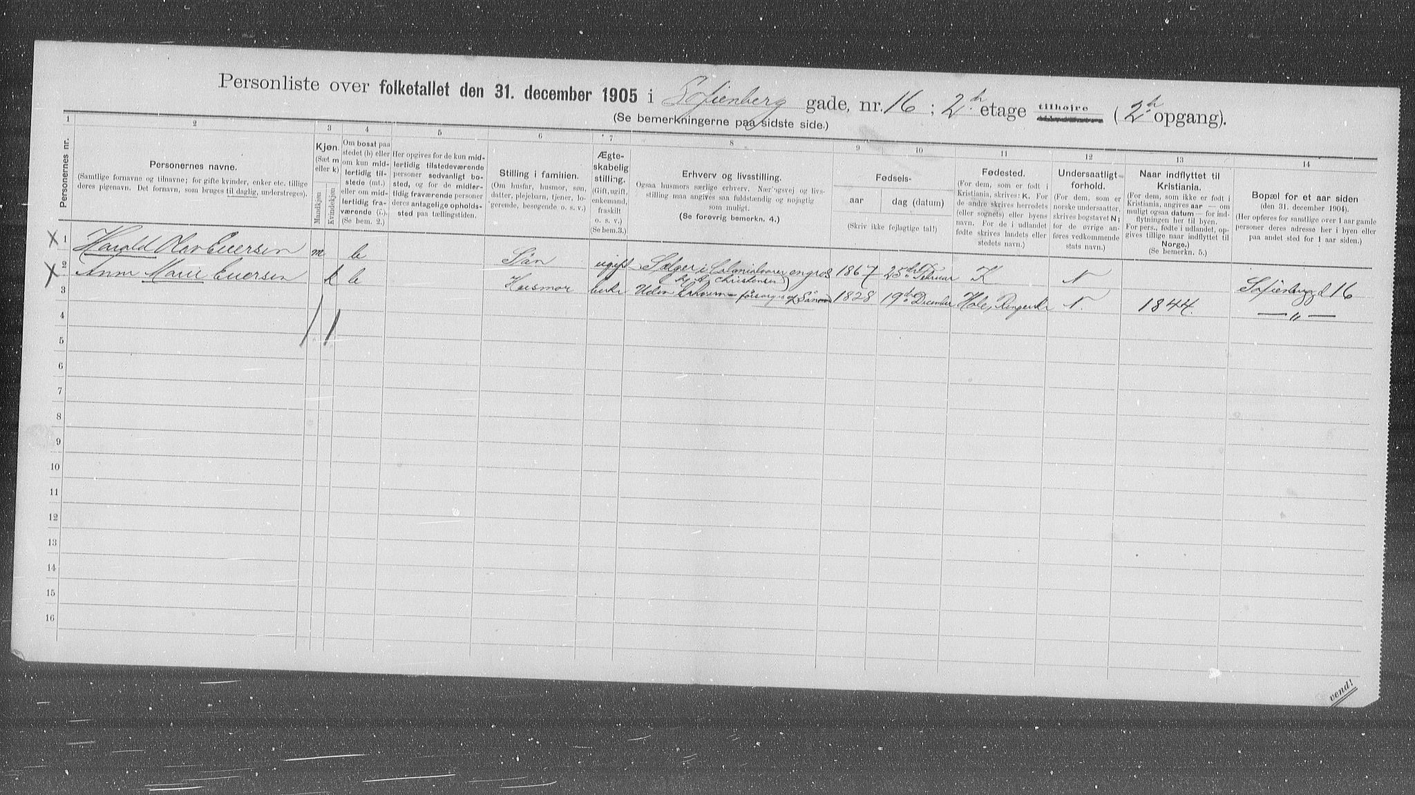 OBA, Municipal Census 1905 for Kristiania, 1905, p. 51177