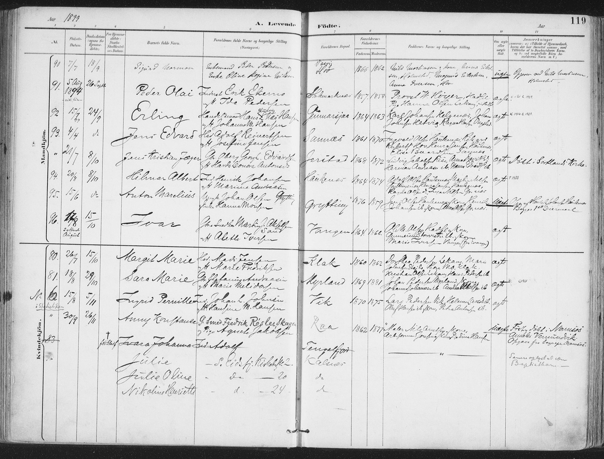 Ministerialprotokoller, klokkerbøker og fødselsregistre - Nordland, SAT/A-1459/888/L1246: Parish register (official) no. 888A12, 1891-1903, p. 119
