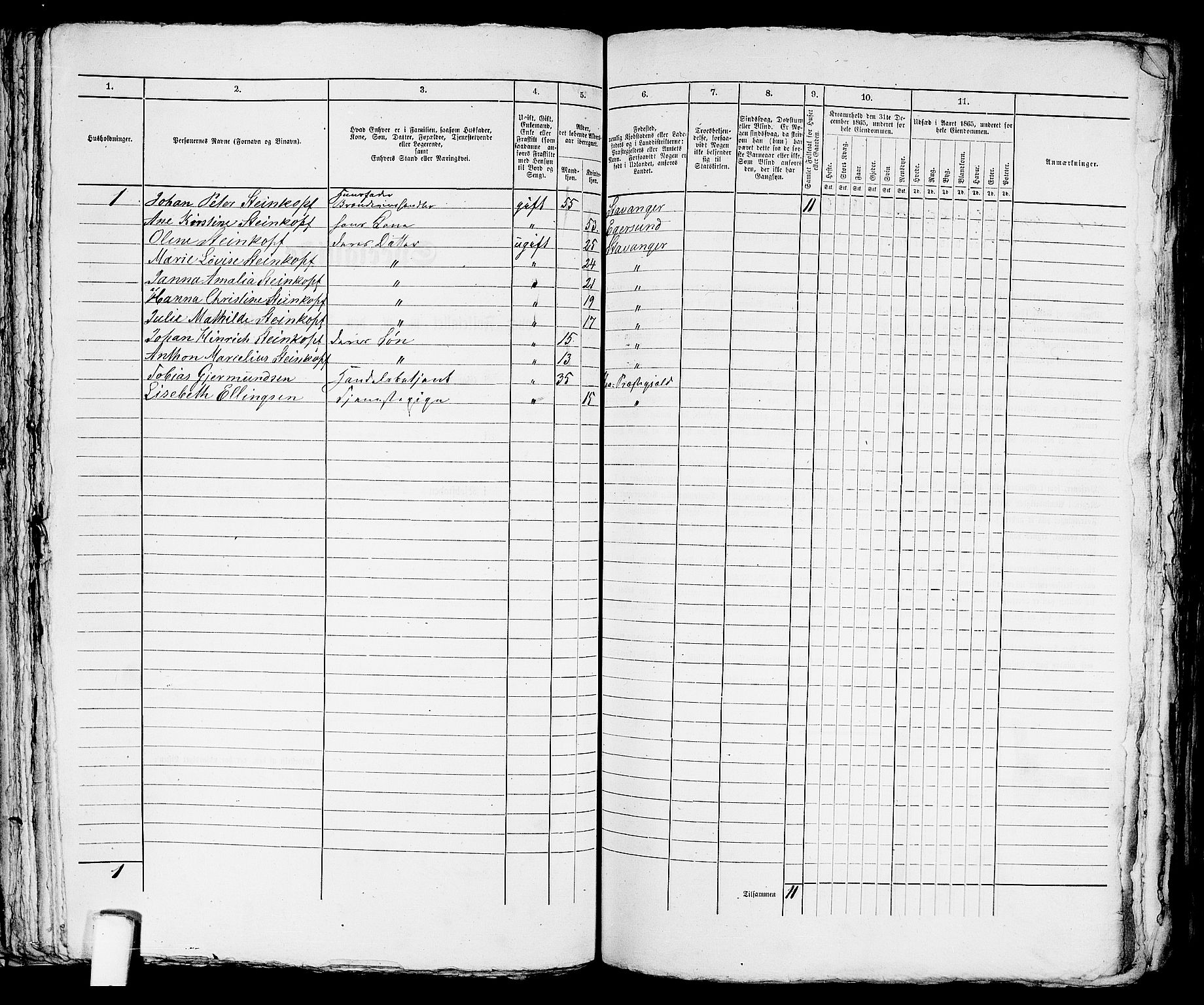 RA, 1865 census for Stavanger, 1865, p. 1610