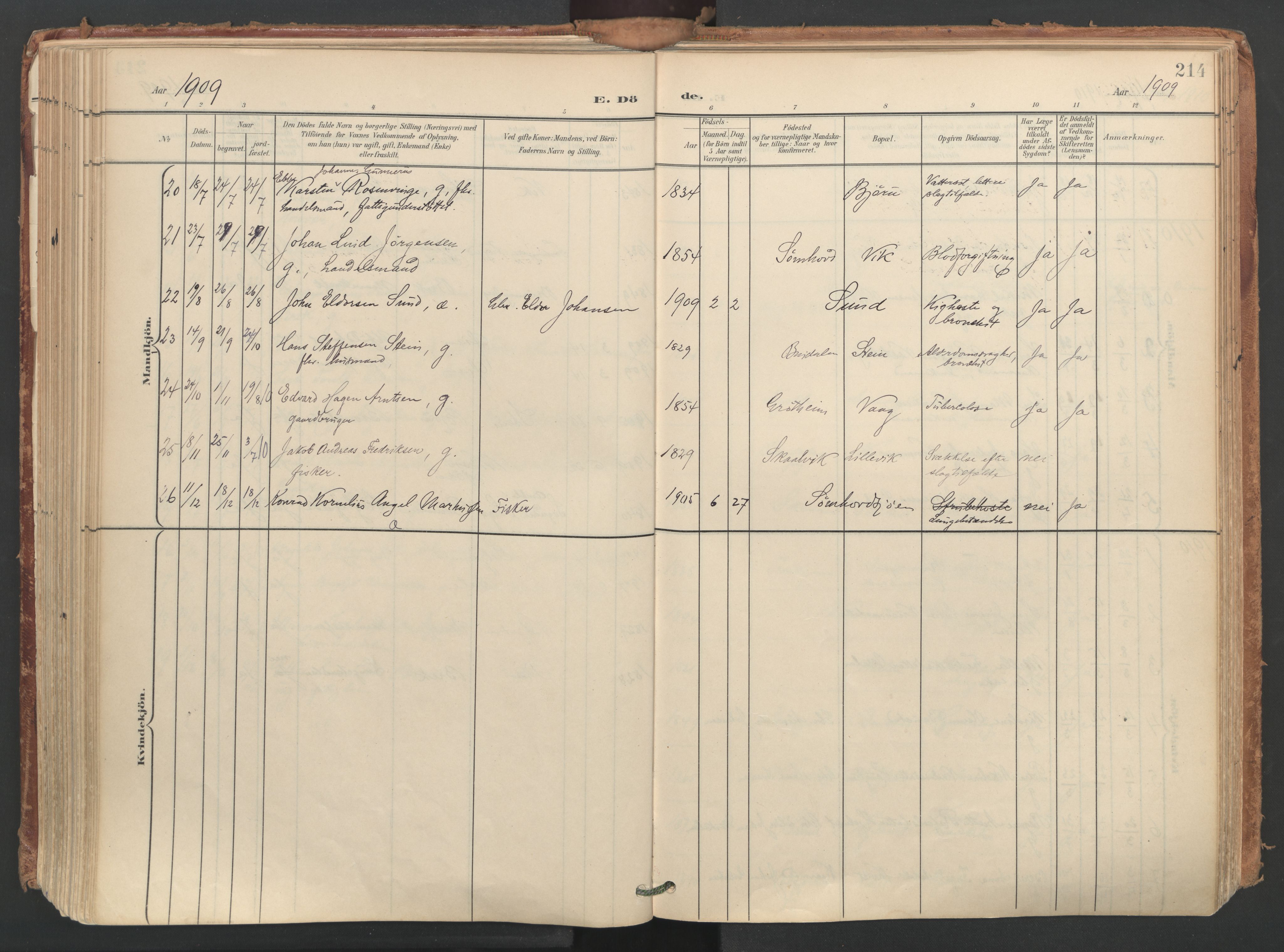 Ministerialprotokoller, klokkerbøker og fødselsregistre - Nordland, SAT/A-1459/812/L0180: Parish register (official) no. 812A09, 1901-1915, p. 214
