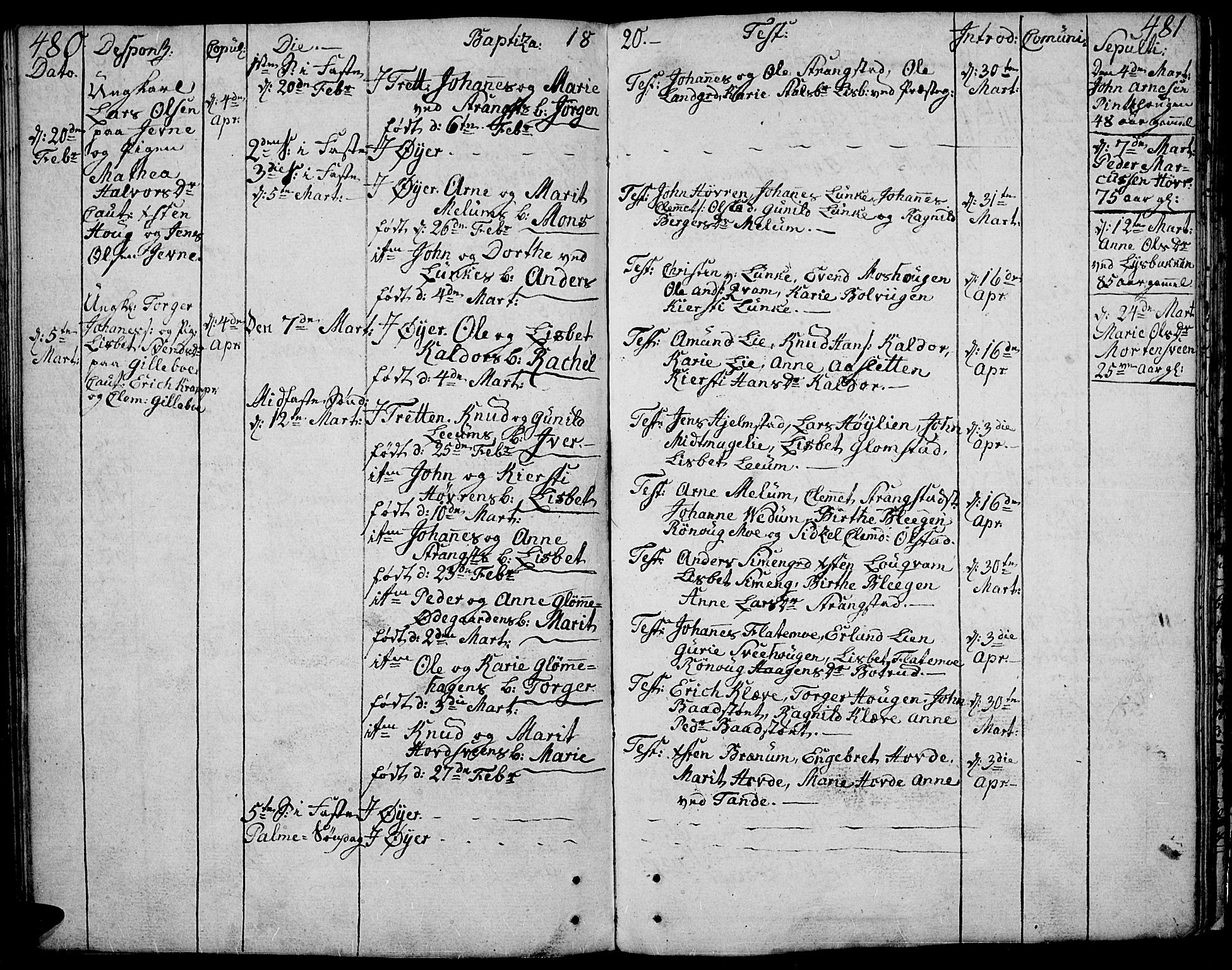 Øyer prestekontor, SAH/PREST-084/H/Ha/Haa/L0003: Parish register (official) no. 3, 1784-1824, p. 480-481