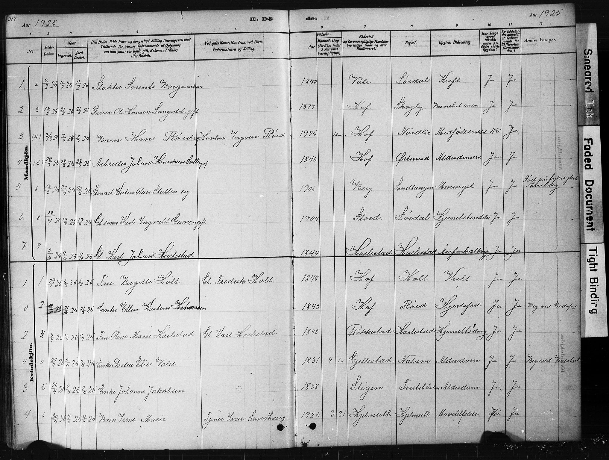 Hof kirkebøker, AV/SAKO-A-64/G/Ga/L0004: Parish register (copy) no. I 4, 1878-1930, p. 317