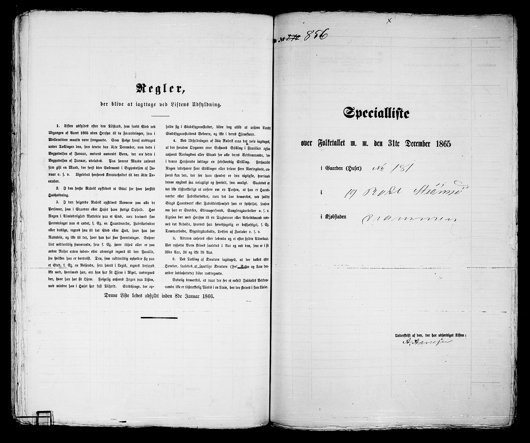 RA, 1865 census for Strømsø in Drammen, 1865, p. 527