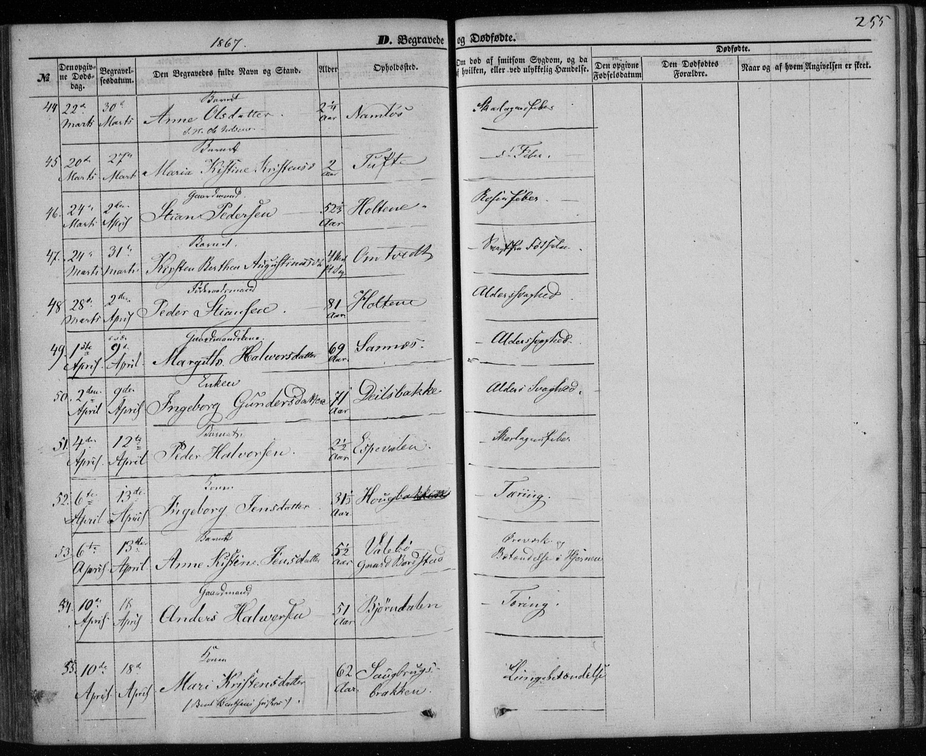 Holla kirkebøker, AV/SAKO-A-272/F/Fa/L0006: Parish register (official) no. 6, 1861-1869, p. 255