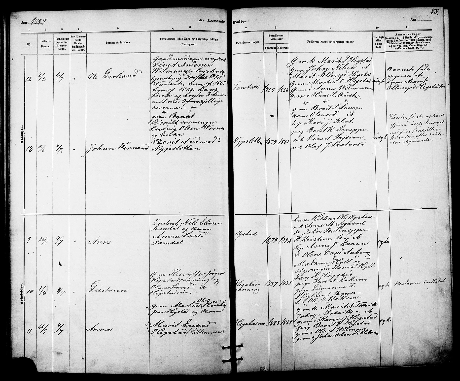 Ministerialprotokoller, klokkerbøker og fødselsregistre - Sør-Trøndelag, AV/SAT-A-1456/613/L0395: Parish register (copy) no. 613C03, 1887-1909, p. 55