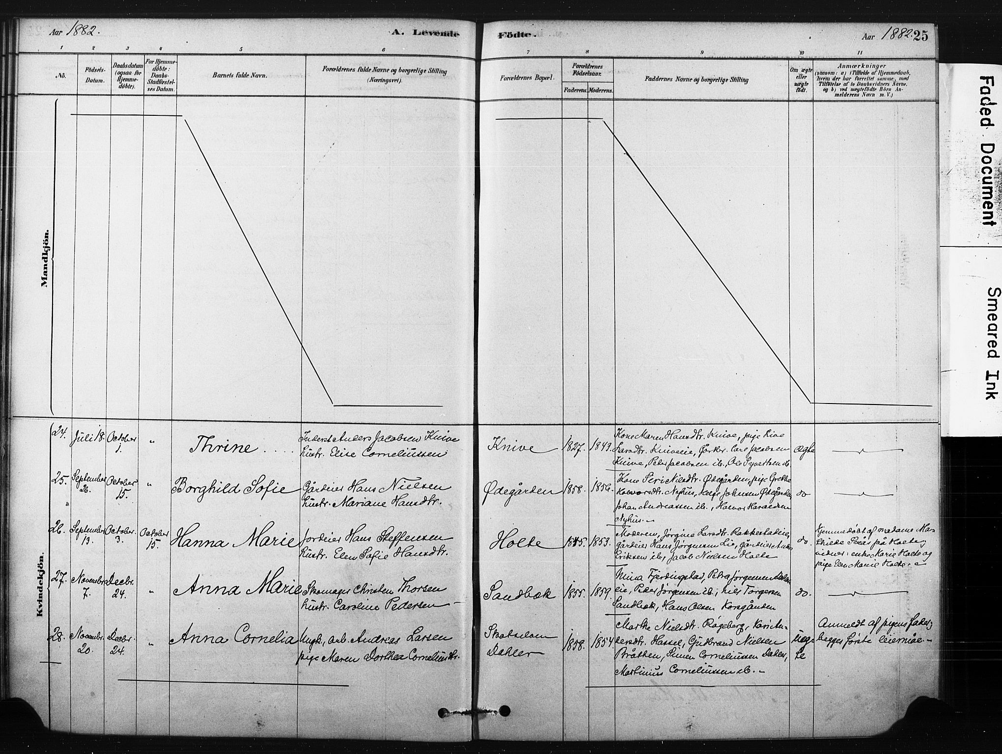 Eiker kirkebøker, AV/SAKO-A-4/F/Fc/L0001: Parish register (official) no. III 1, 1878-1889, p. 25