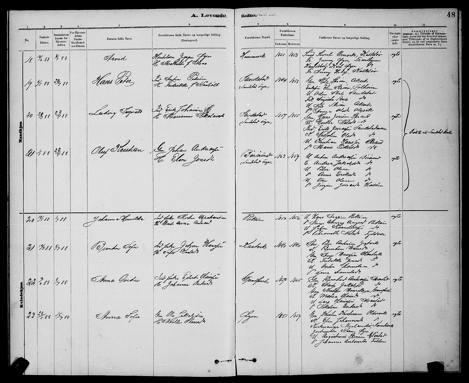 Ministerialprotokoller, klokkerbøker og fødselsregistre - Sør-Trøndelag, SAT/A-1456/637/L0562: Parish register (copy) no. 637C03, 1883-1898, p. 48